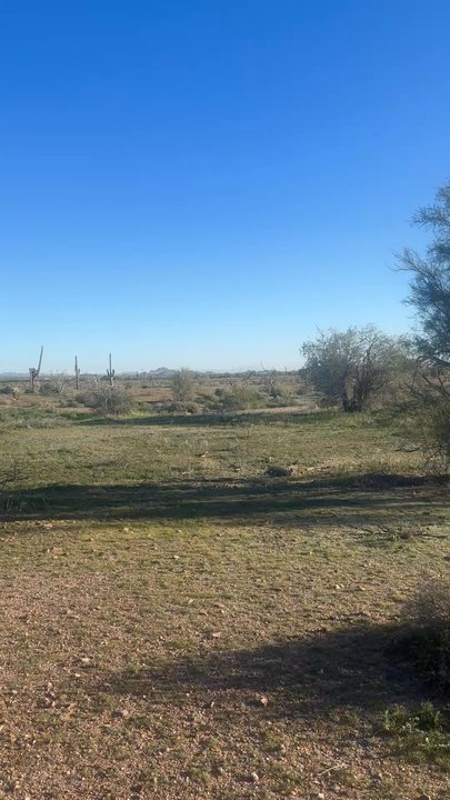 AzTrailRiding - Horseback Riding Near Me - Mesa, Arizona