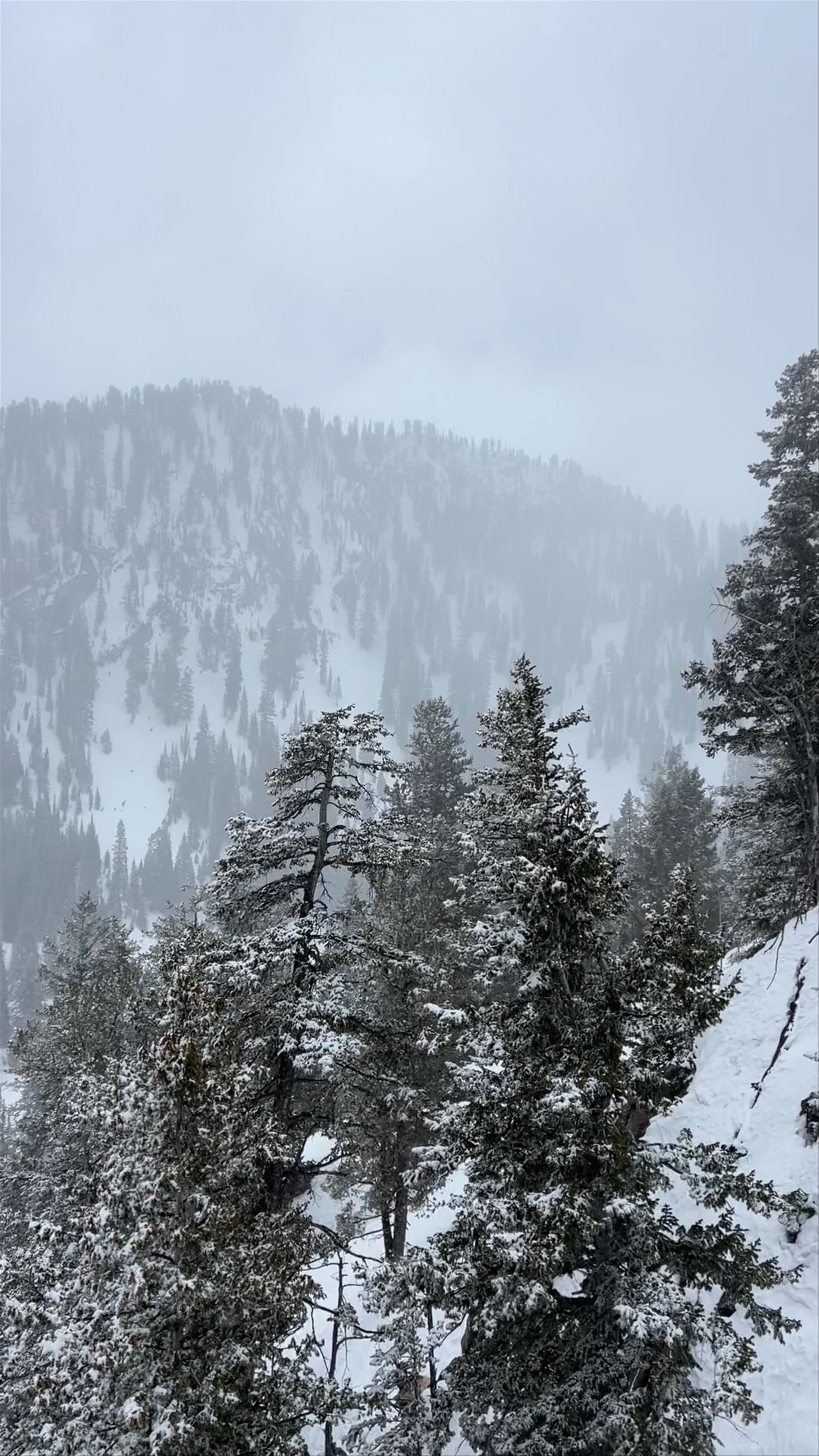 Snowy Serenity at Solitude Mountain Resort, Utah
