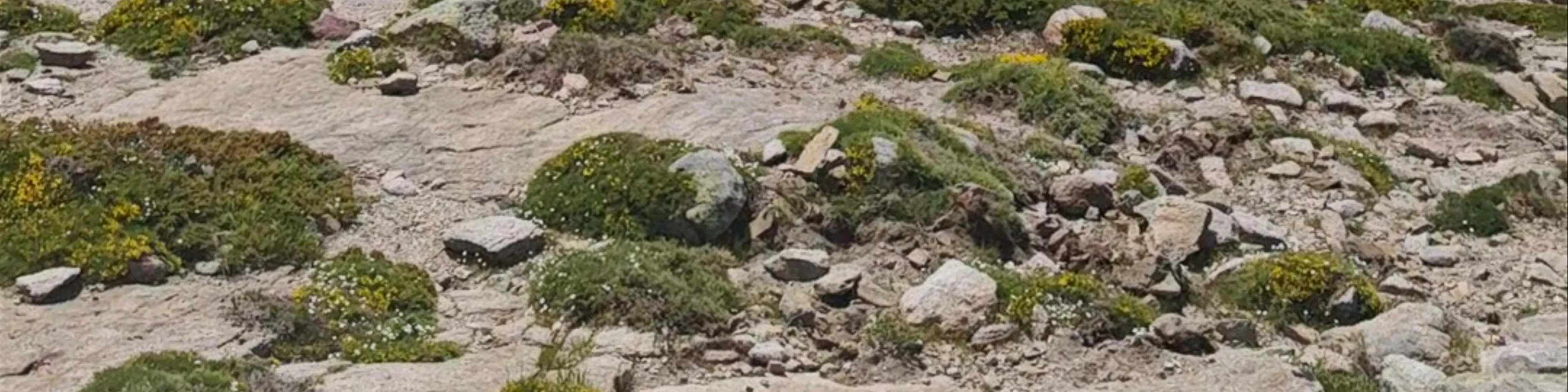 Lac de Nino