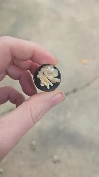 Preview pic of HotHead Glass Marble