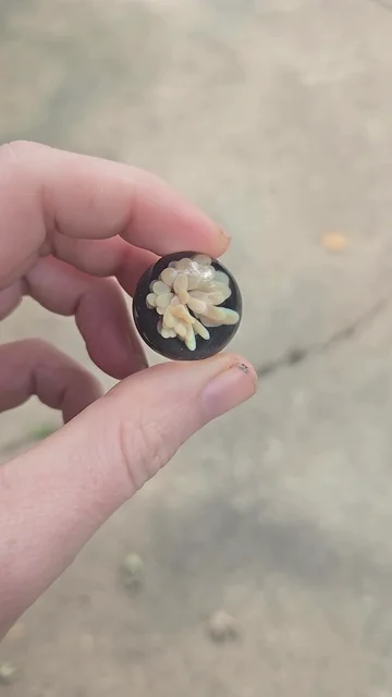 Preview pic of HotHead Glass Marble