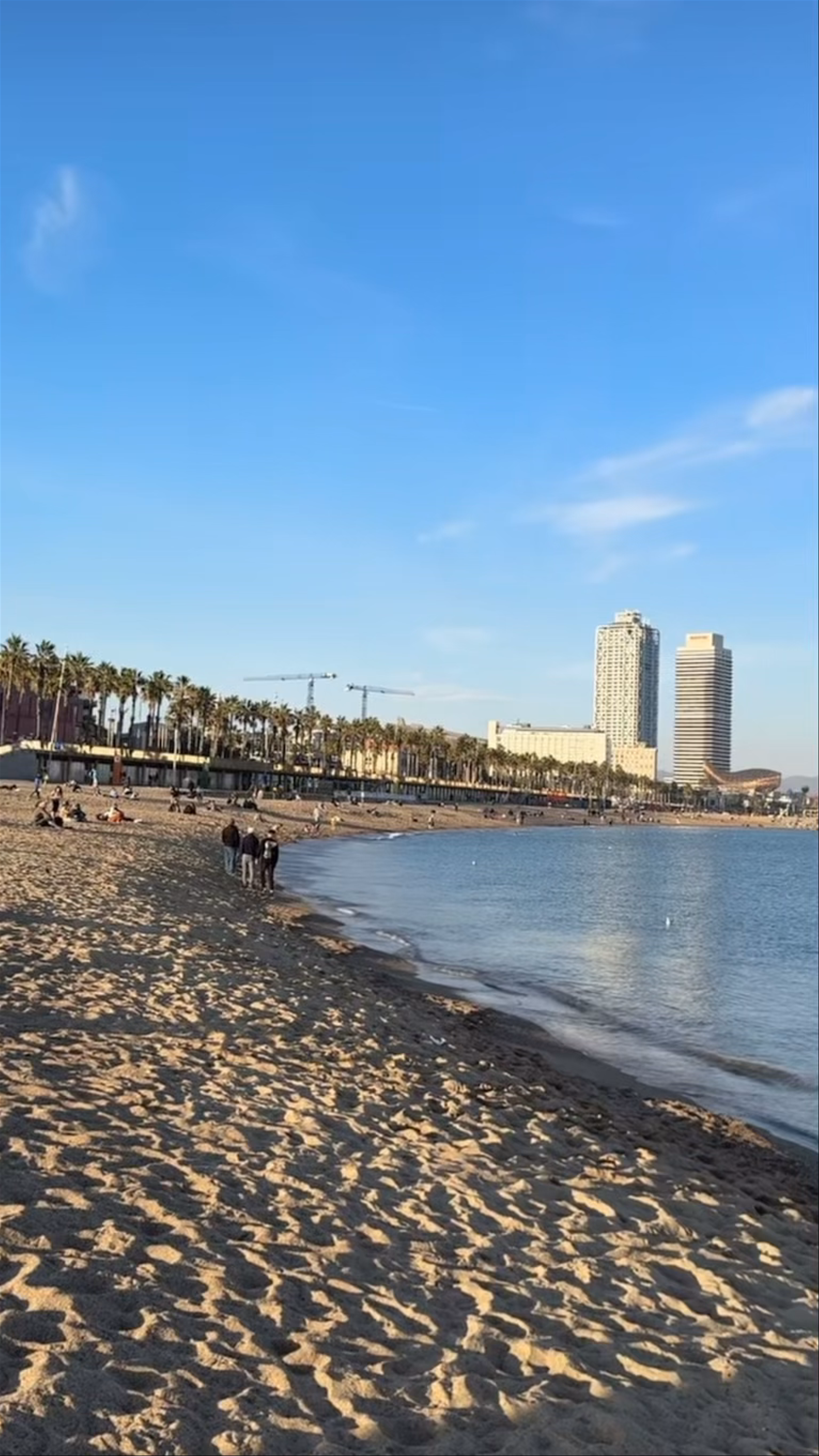 Playa de la Barceloneta