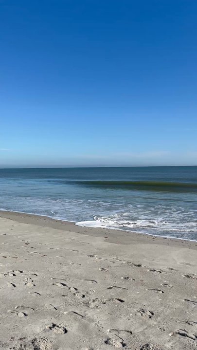 Blockhouse Beach - Great beach for birding and sunbathing right off of Patrick Air Force Base - Beaches Near Me - Patrick Air Force Base, Florida