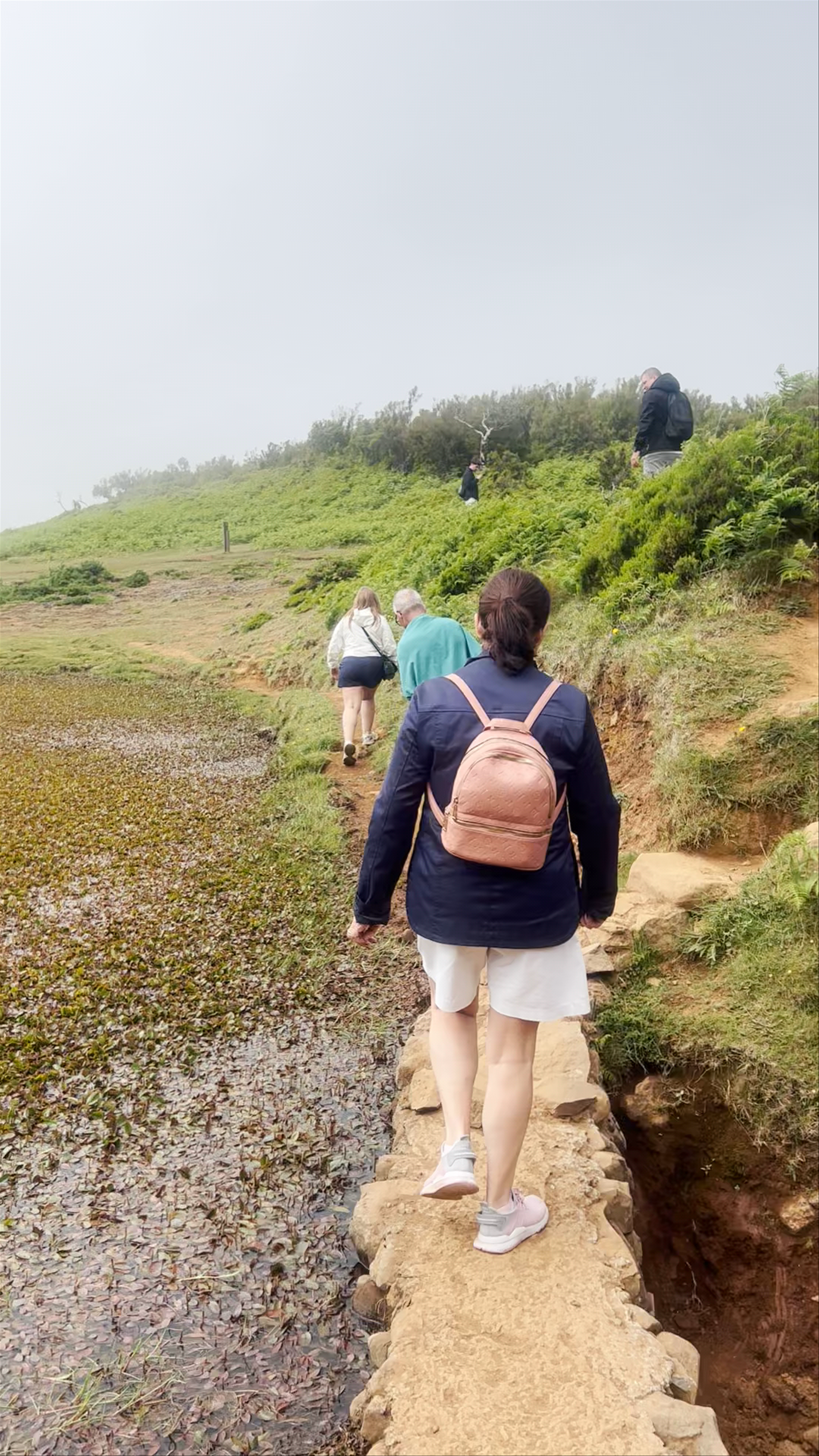 Misty Hike at Lagoa de Fanal, Madeira's Enchanted Lake