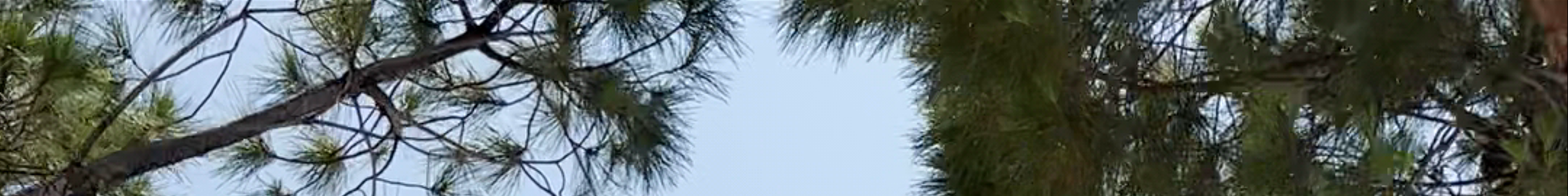 Tours & experiences in Vlorë