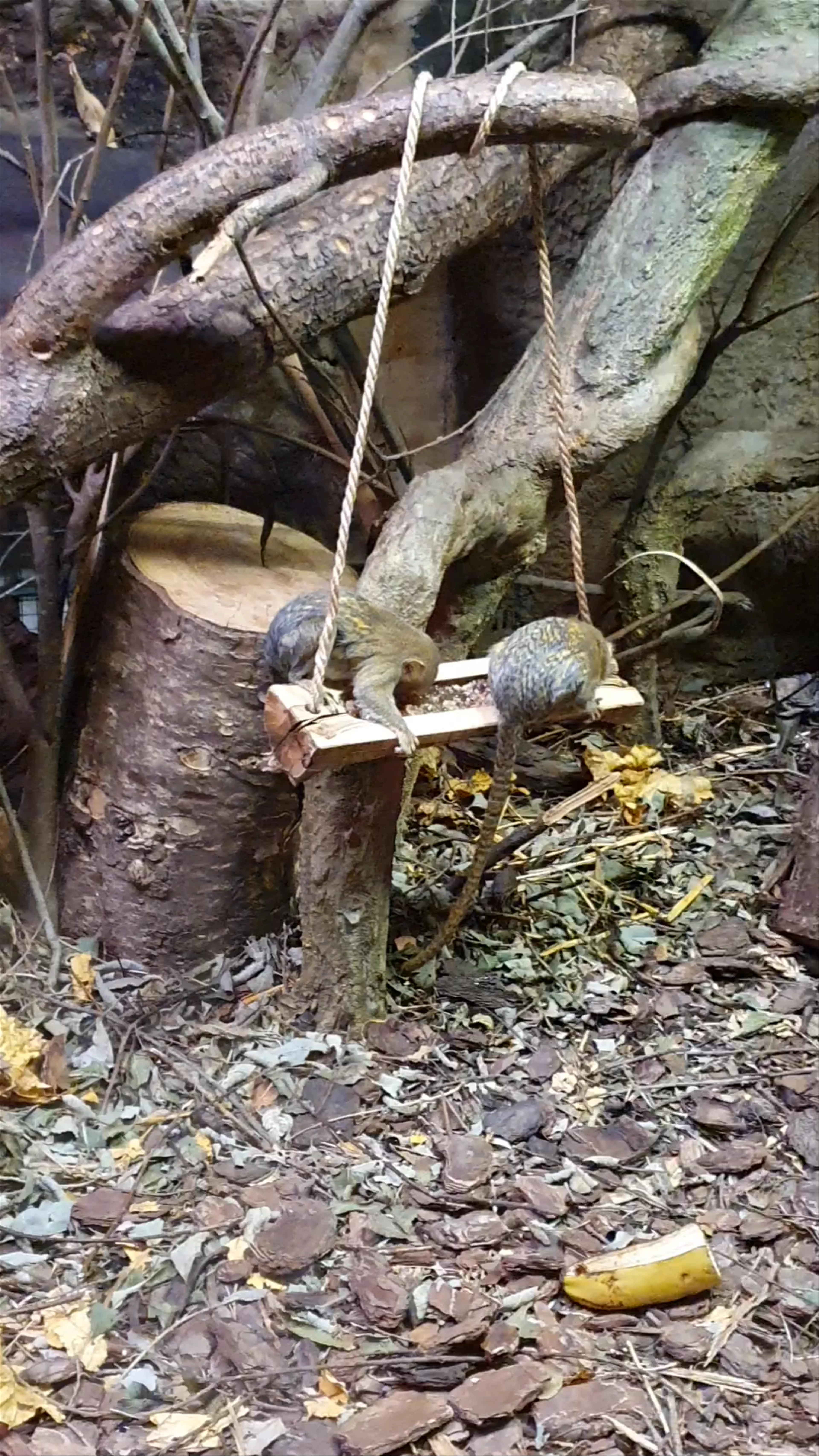 Riga National Zoological Garden