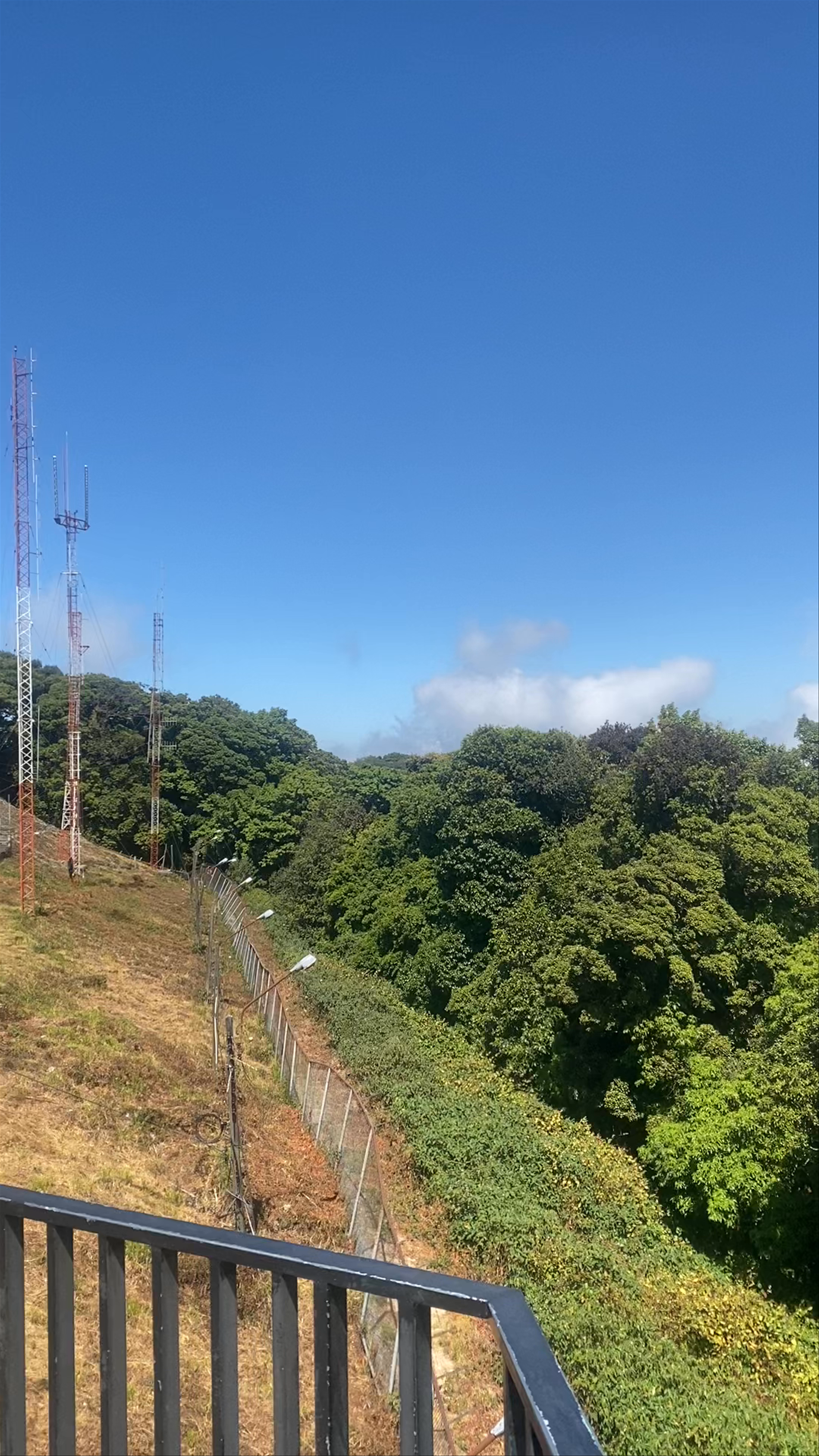Serene Morning at Doi Inthanon National Park, Chiang Mai