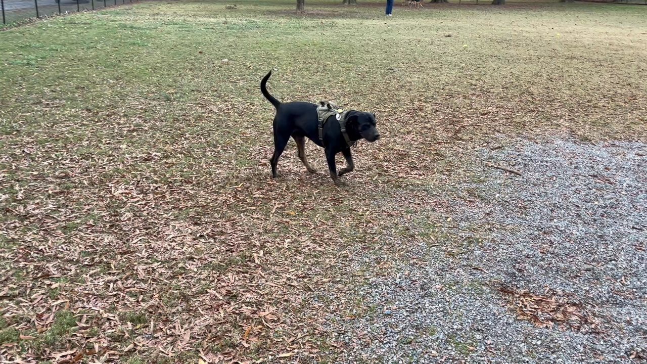 Hamilton Crossing Park - Parks Near Me - Cartersville, Georgia