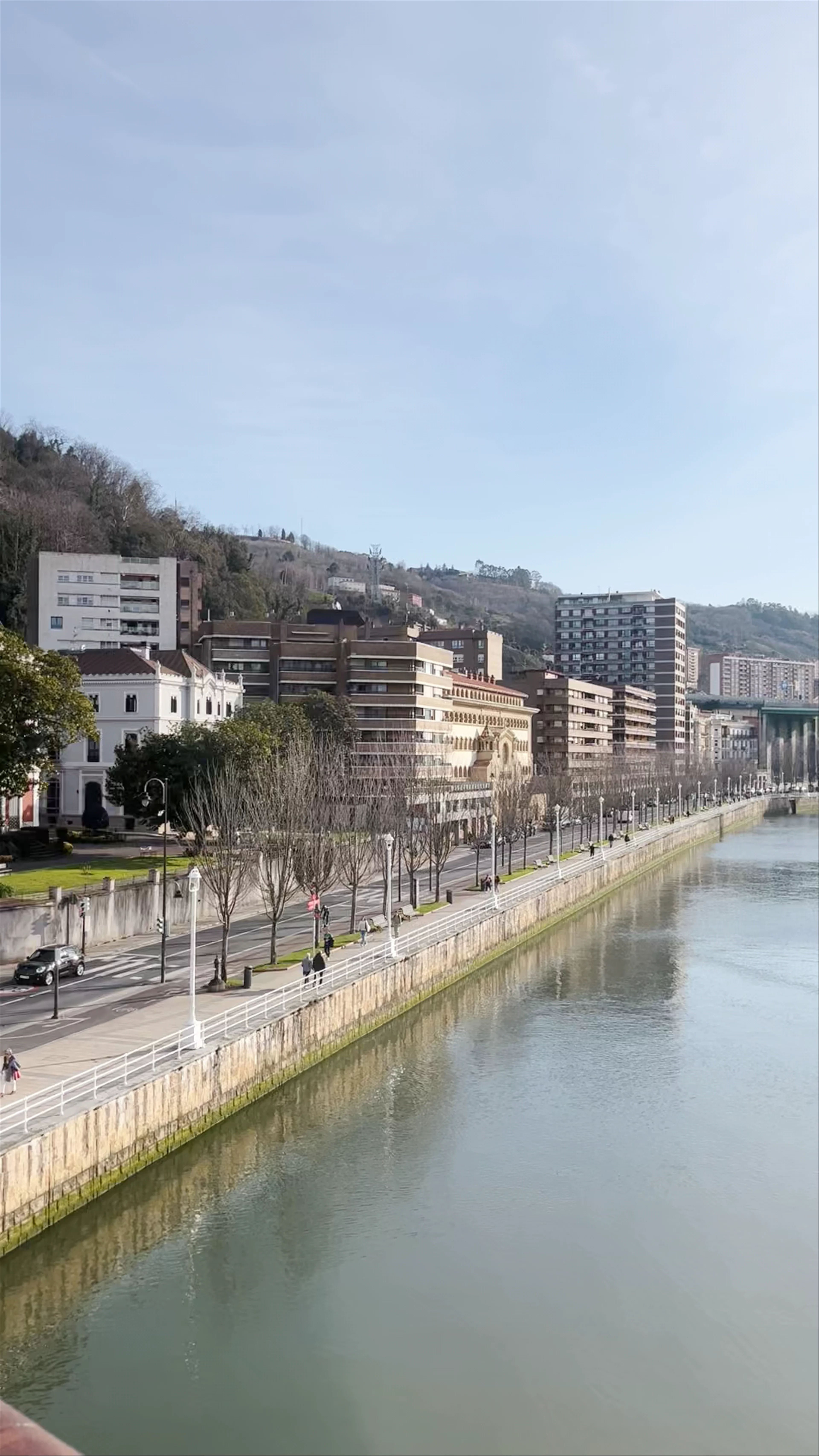 Pedro Arrupe zubia, Bilbao