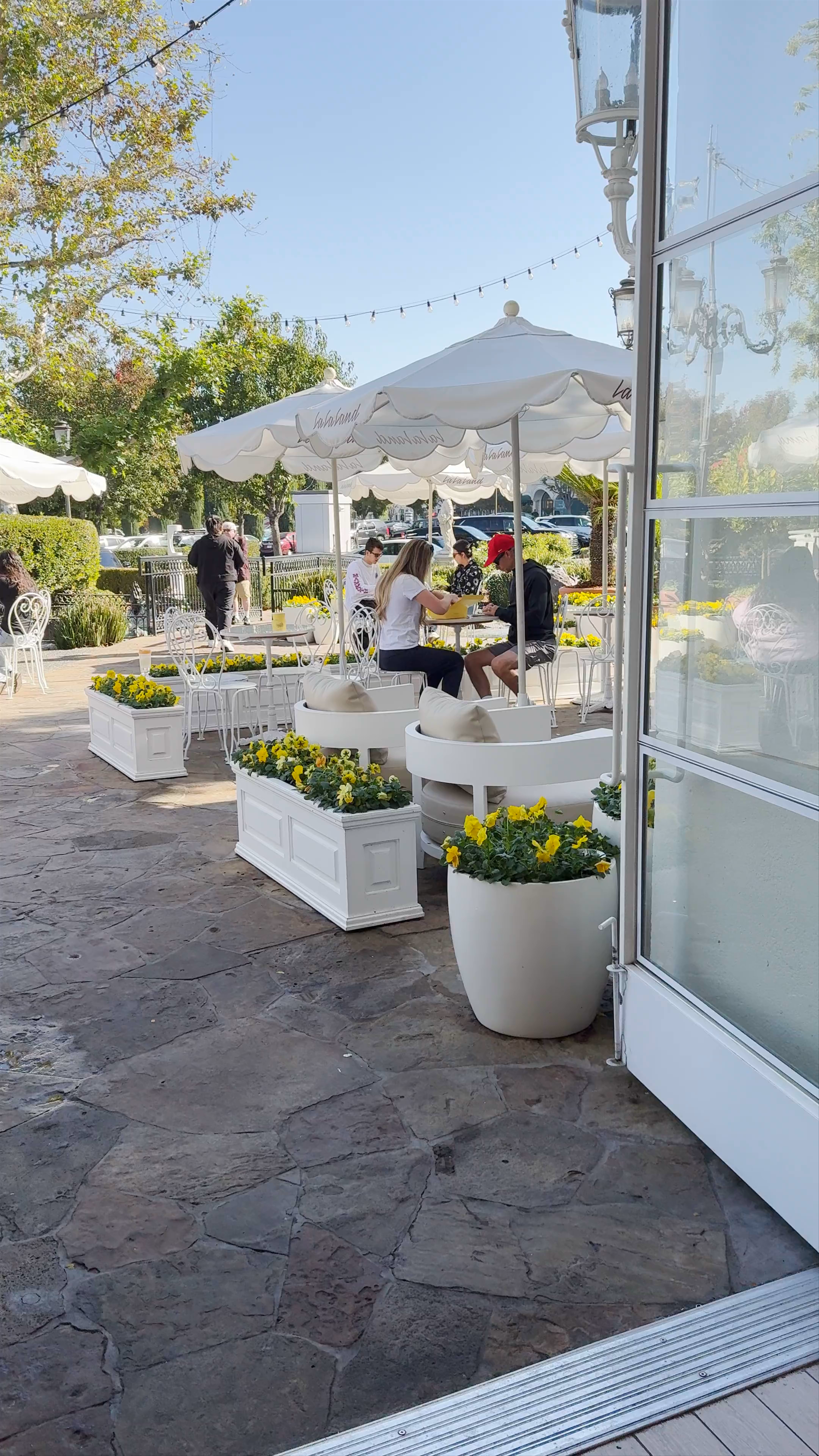 La La Land Kind Cafe