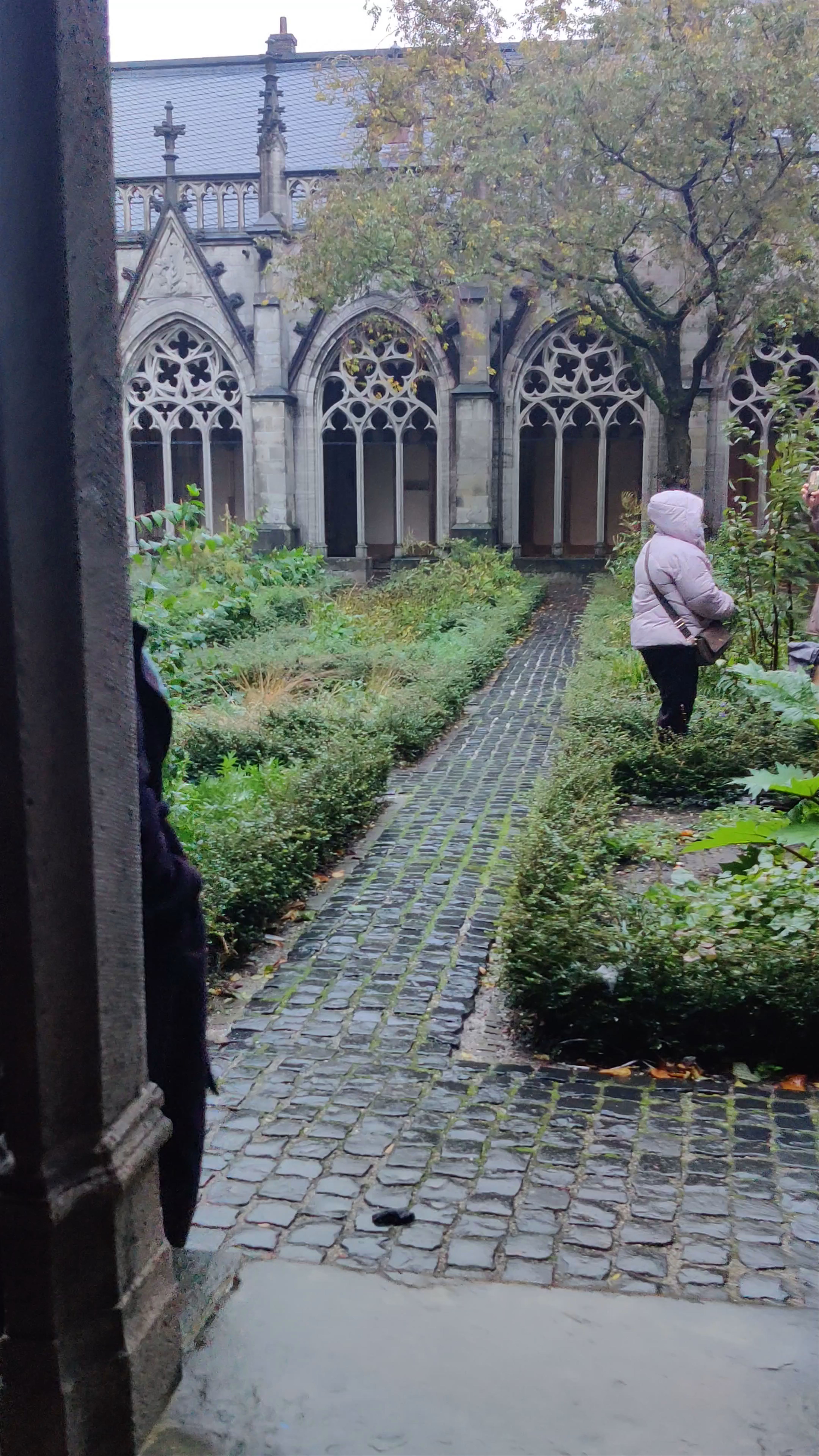 Pandhof van de Dom: A Serene Historic Garden in Utrecht