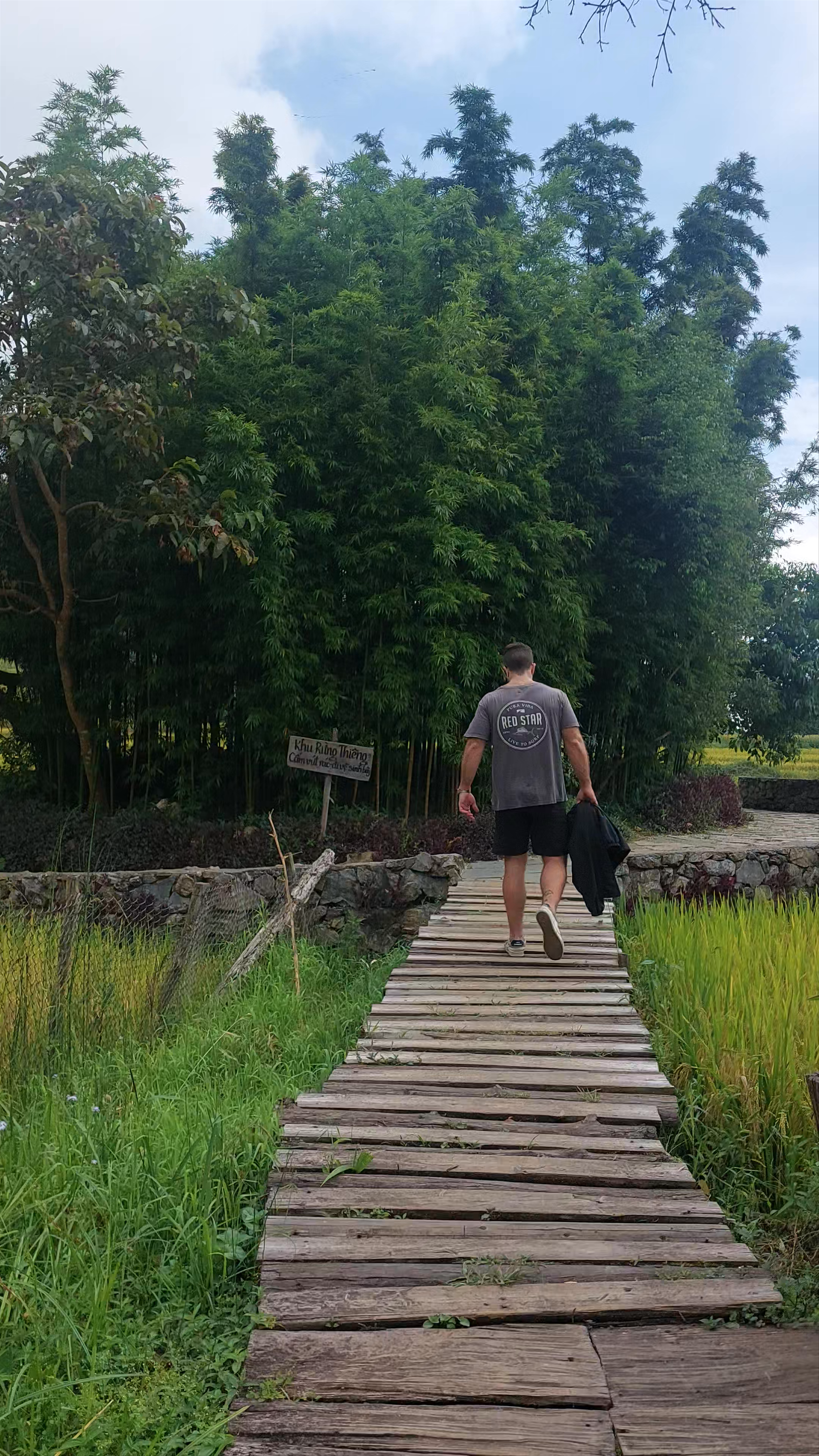 Terraced Rice Fields