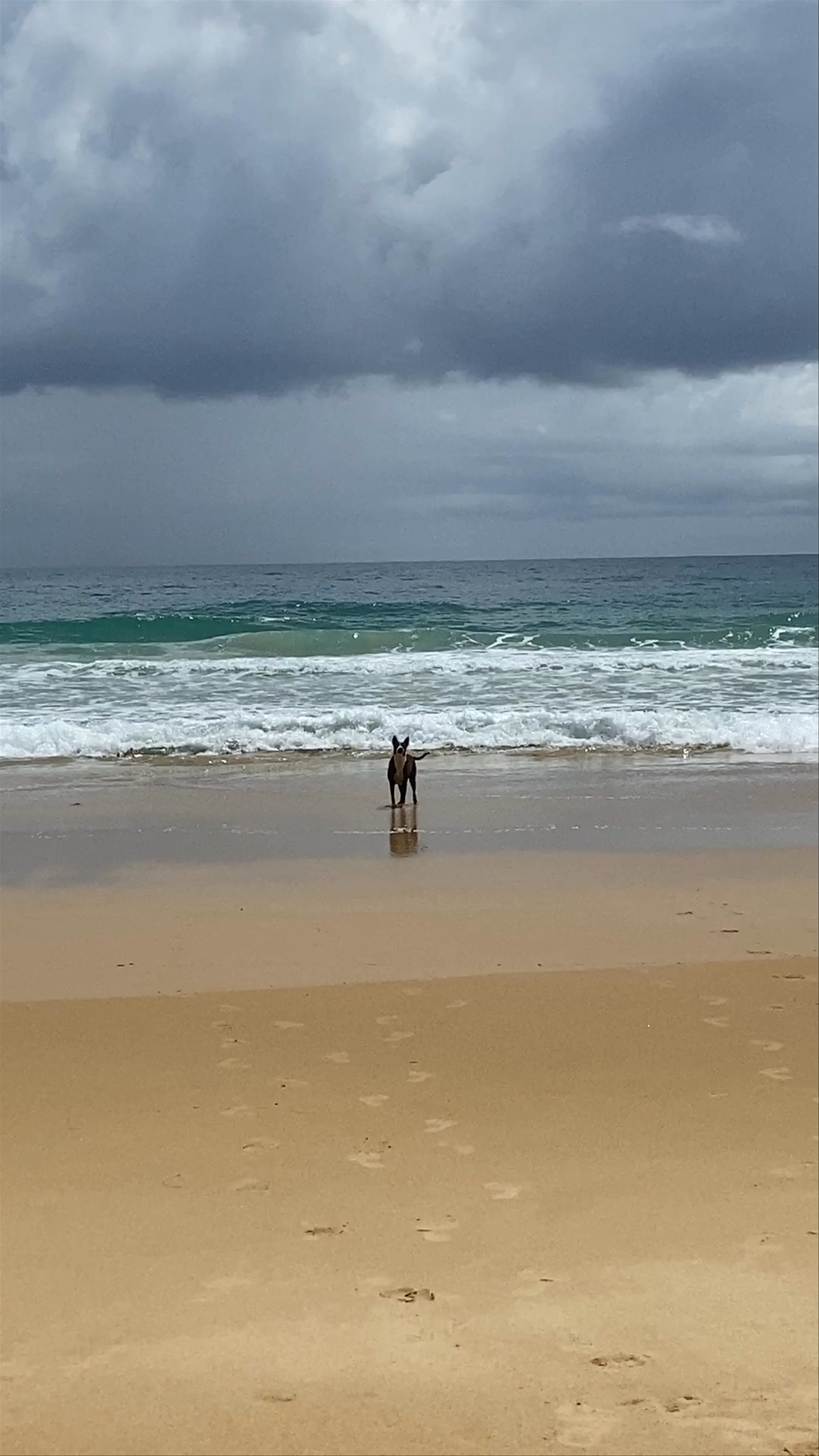 Stormy Sky and Serene Shores at Nai Thon Beach, Phuket