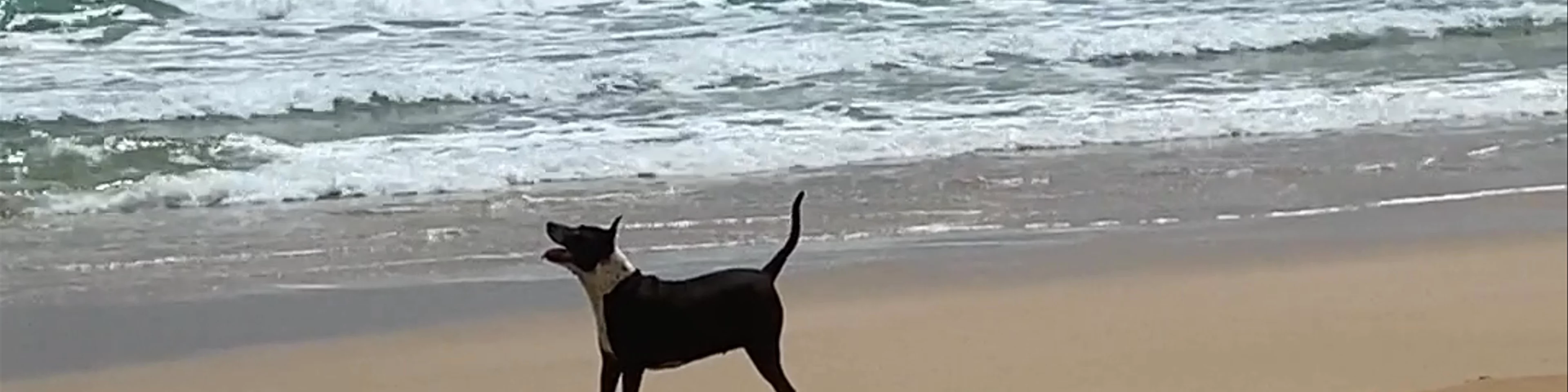 Nai Thon Beach