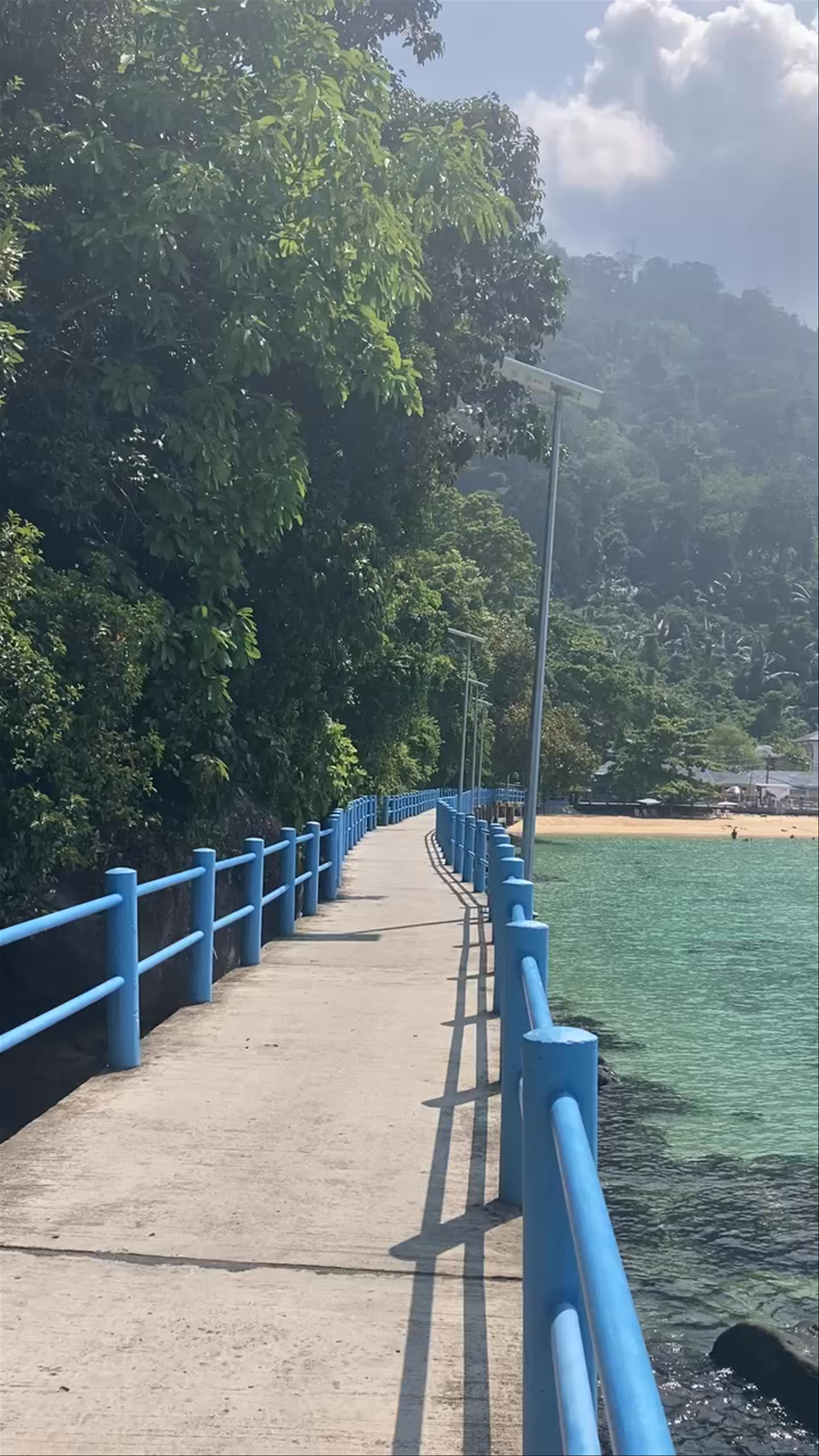 Jungle Sidewalk Stroll in Mersing, Pahang, Malaysia