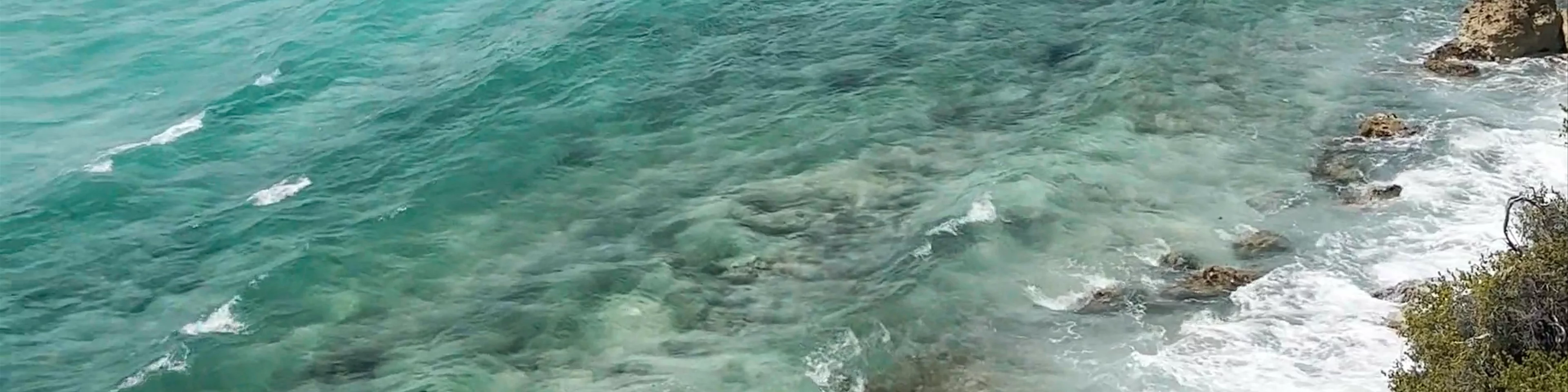 Punta sur