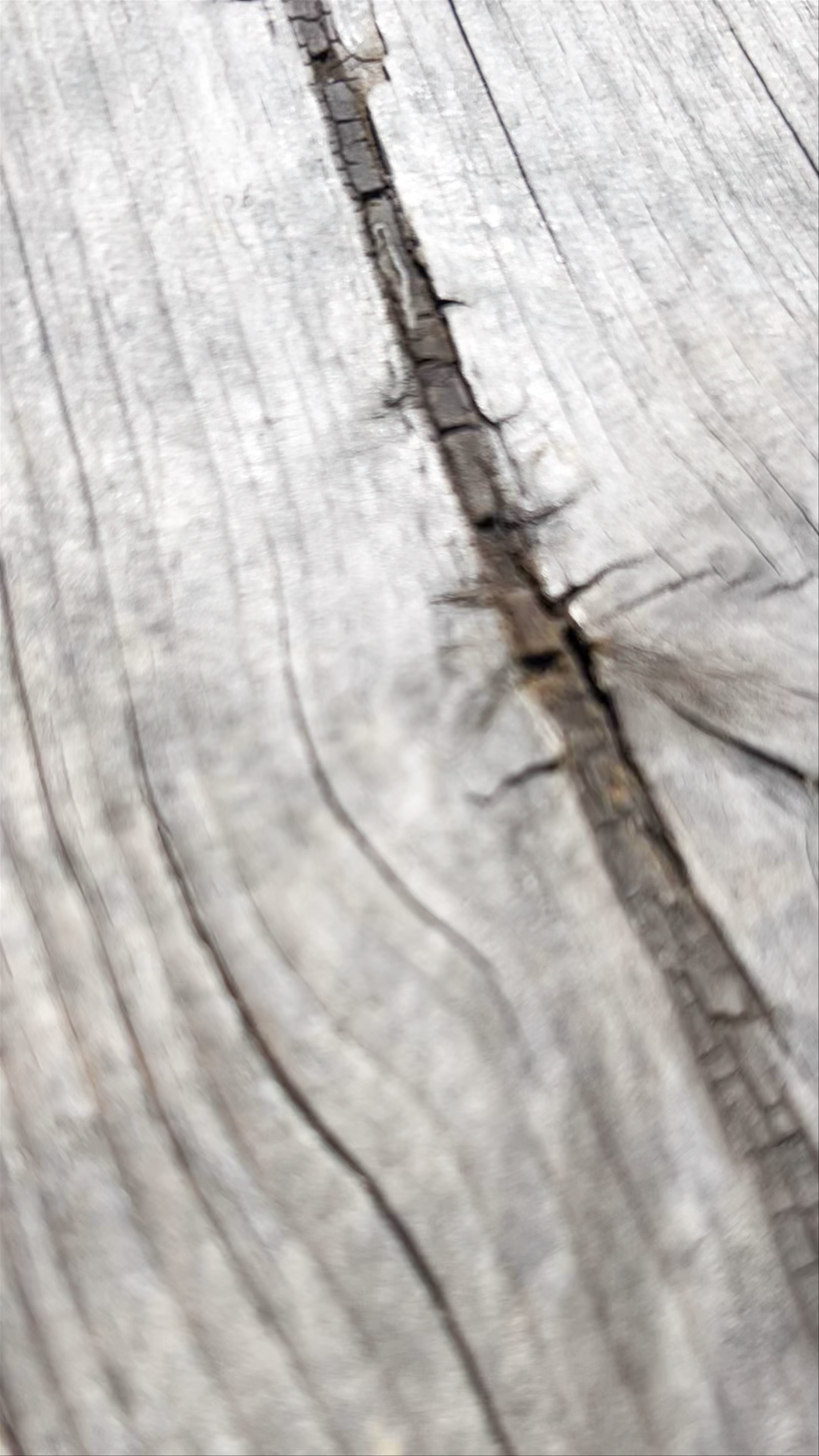 Miradouro Praia do Camilo