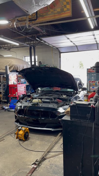 Mustang Magic & American Speed - Auto Repair Near Me - Deer Park, New York
