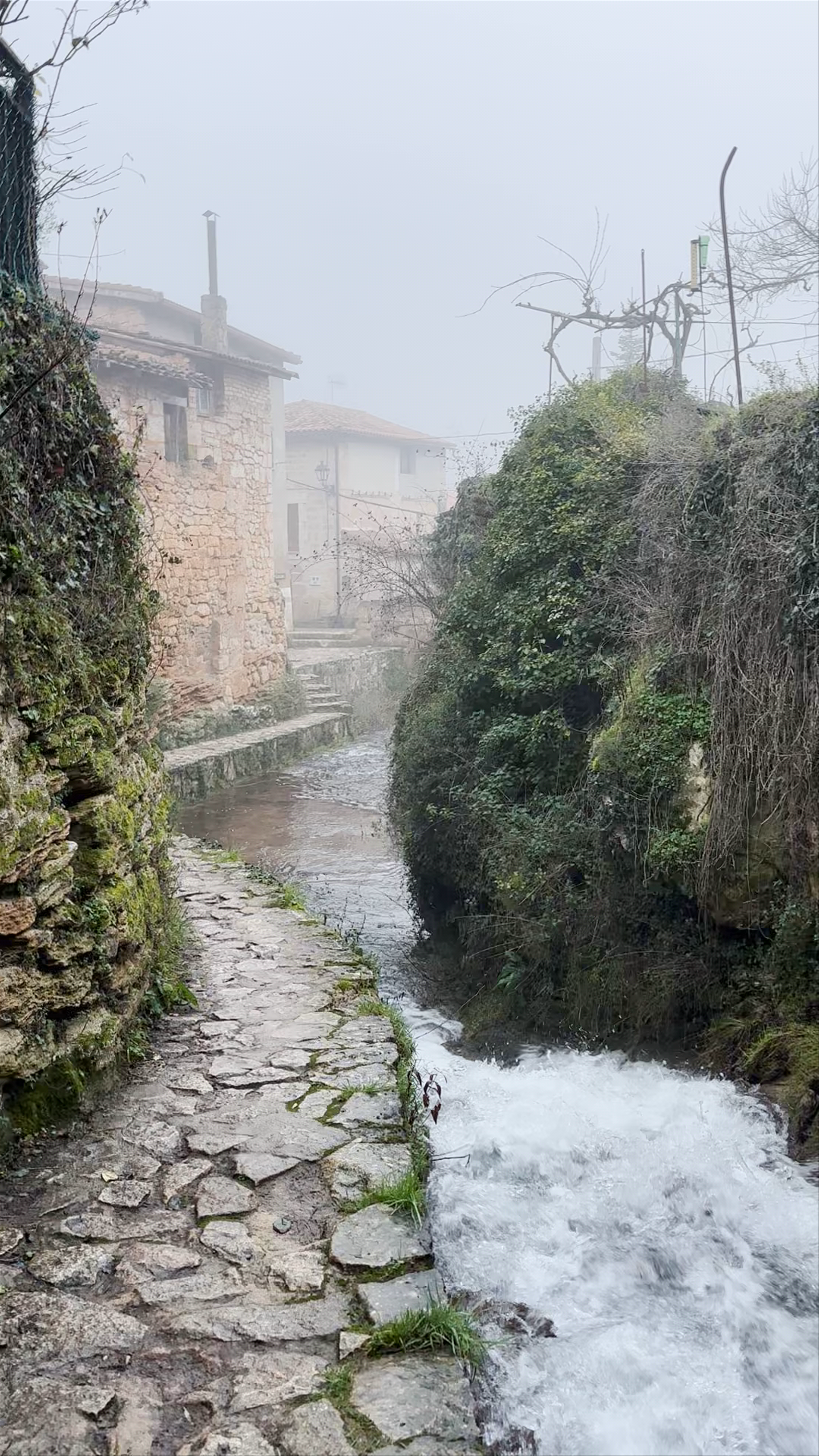 Misty Winter Walk in Tobera, Castilla y León, Spain
