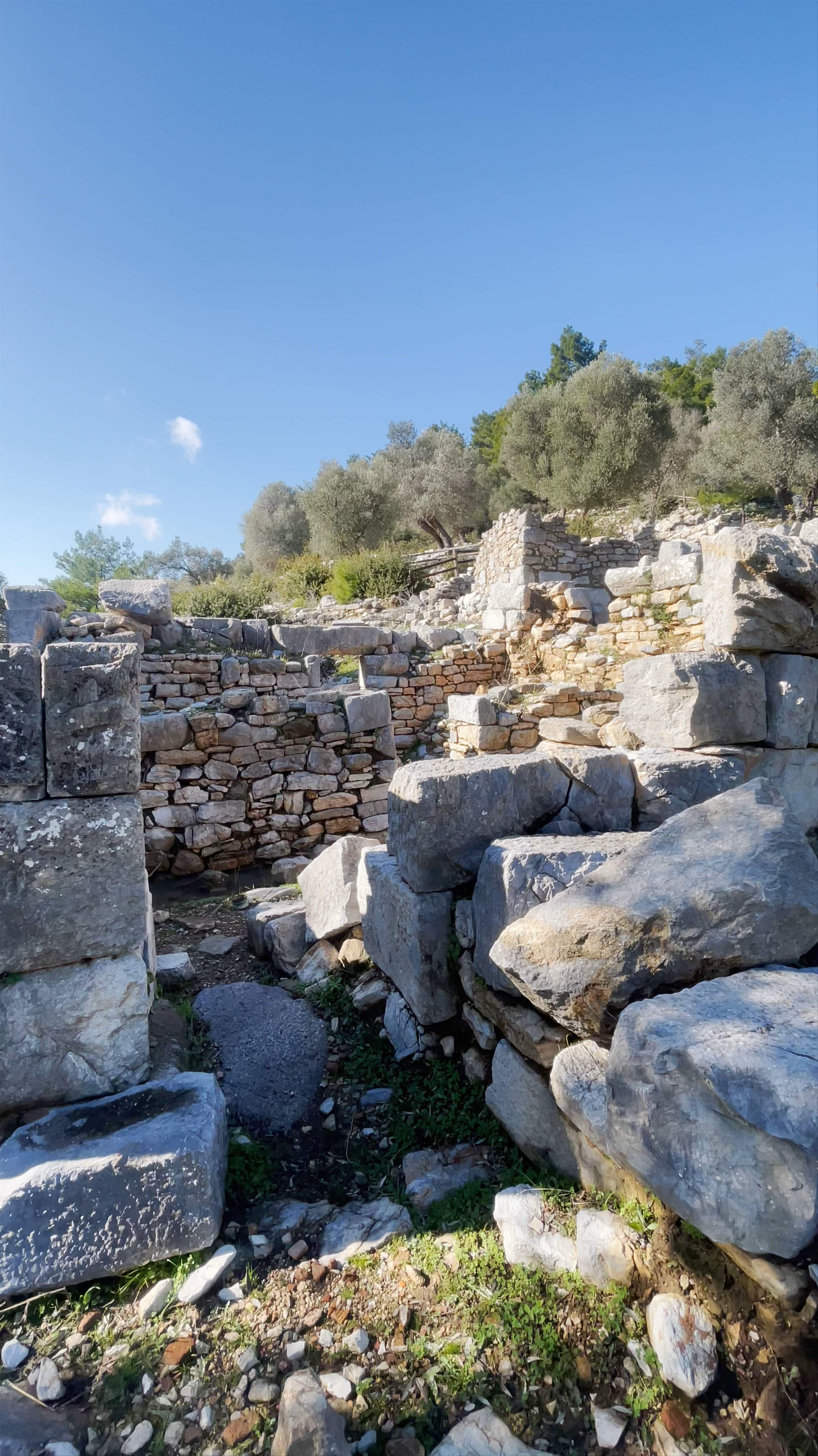 Torba