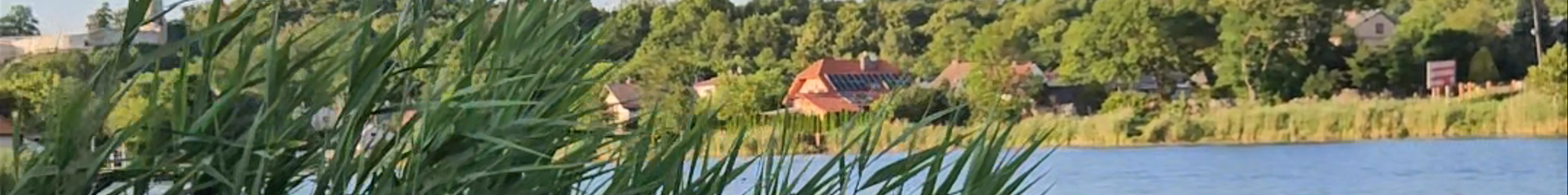 Tours & experiences in Iłża