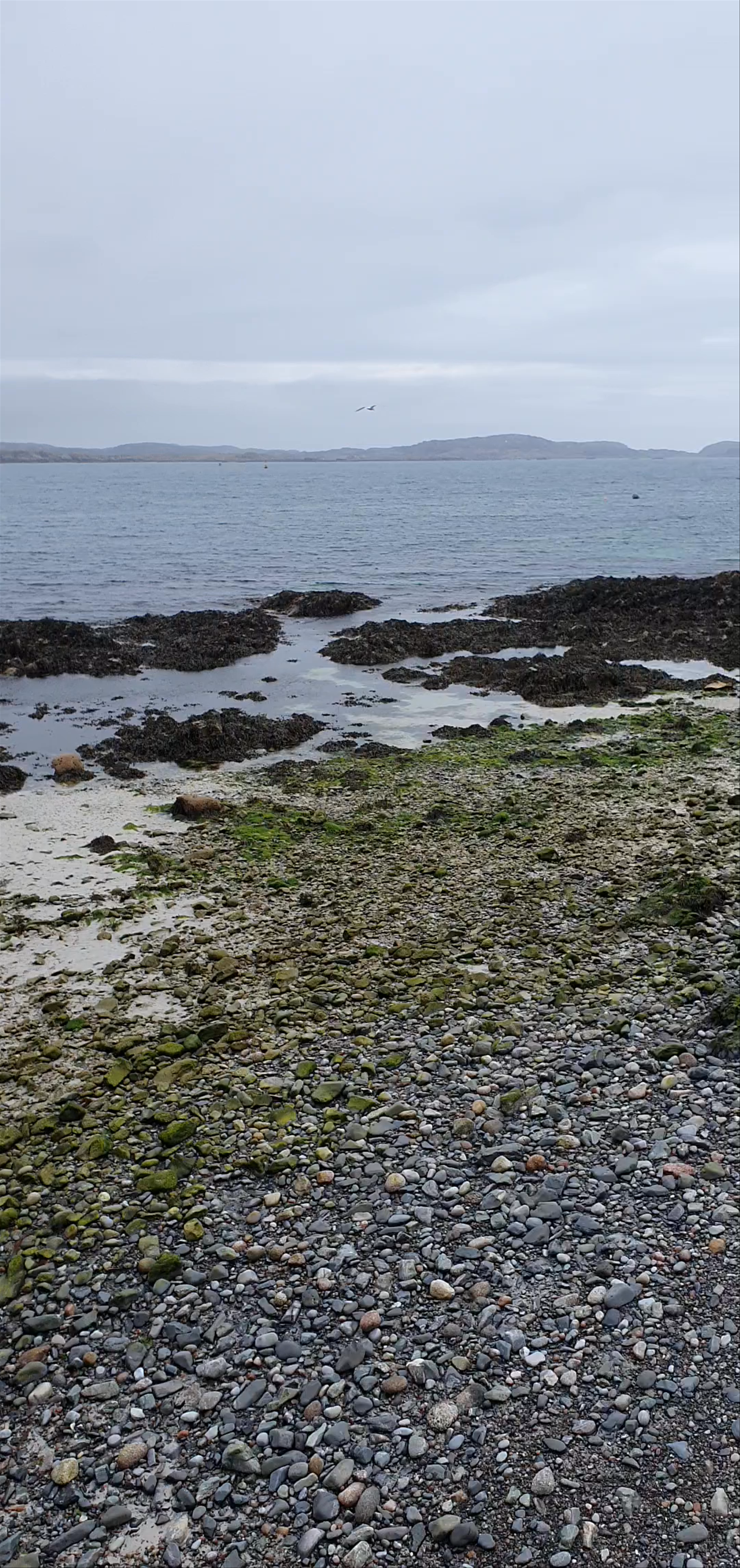 Iona Abbey and Nunnery
