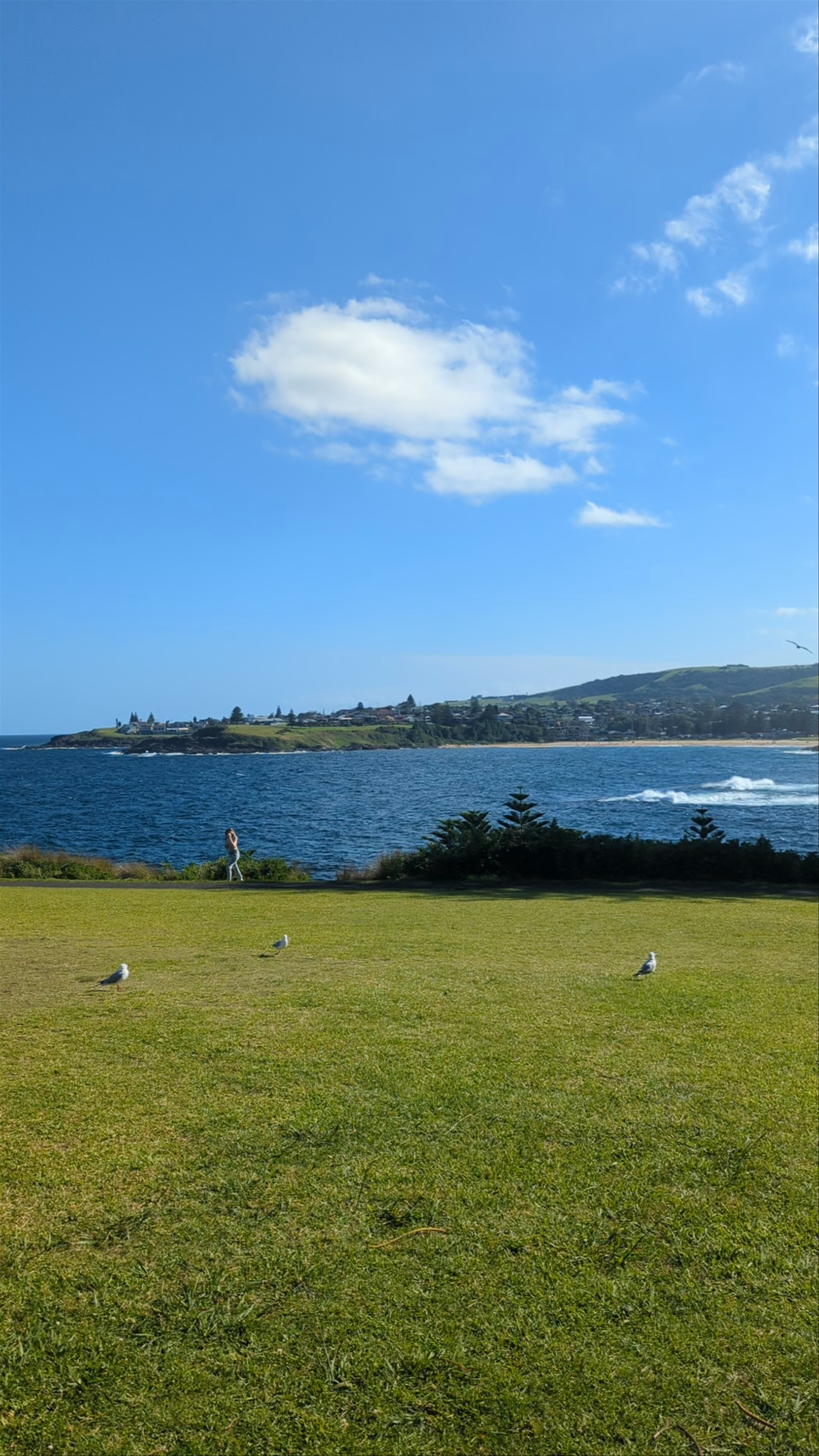 Kiama Coast Walk