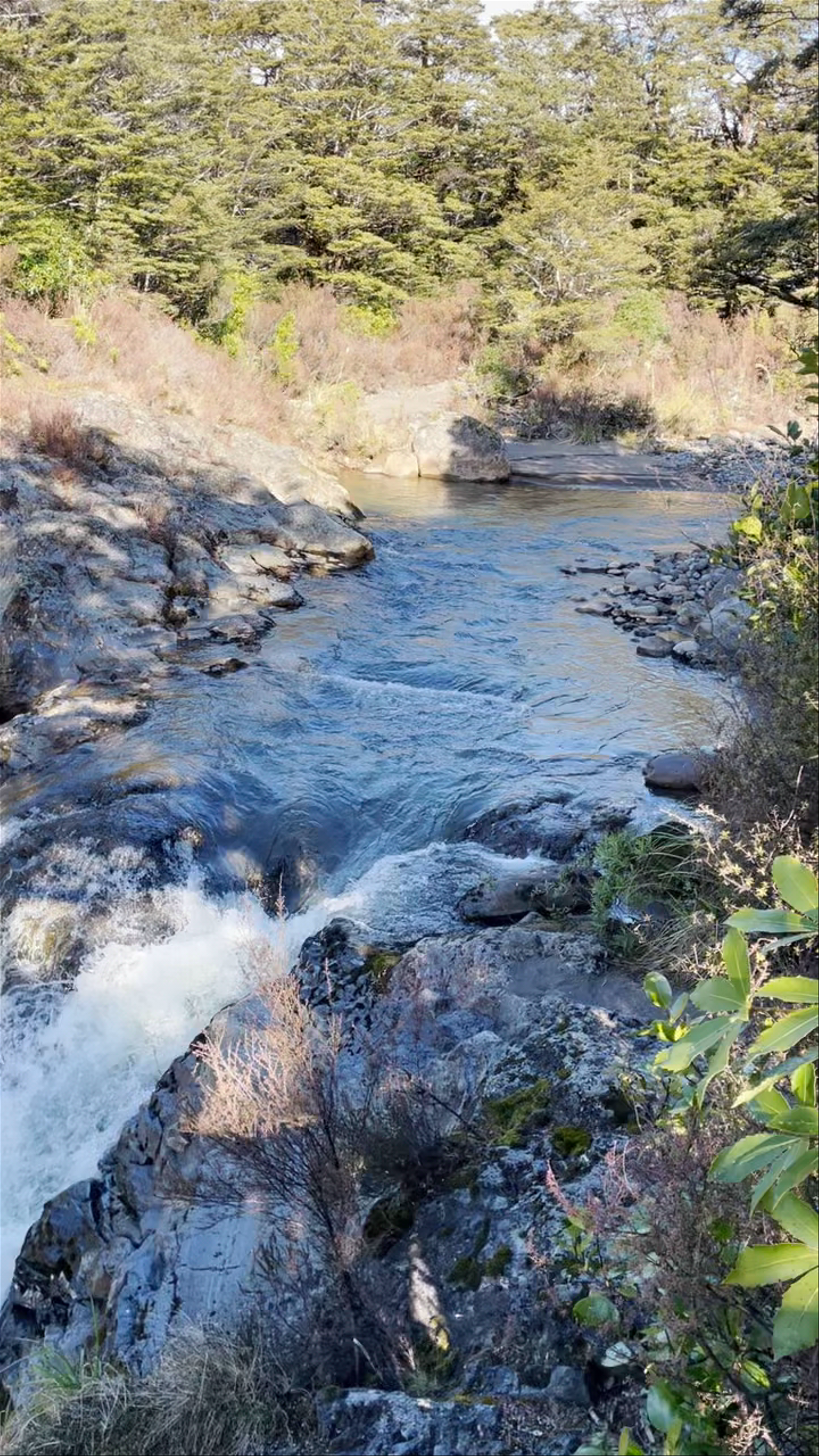 Tawhai Falls (Gollums Pool)