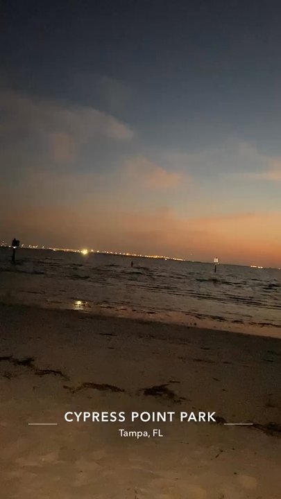 Cypress Point Park - Parks Near Me - Tampa, Florida