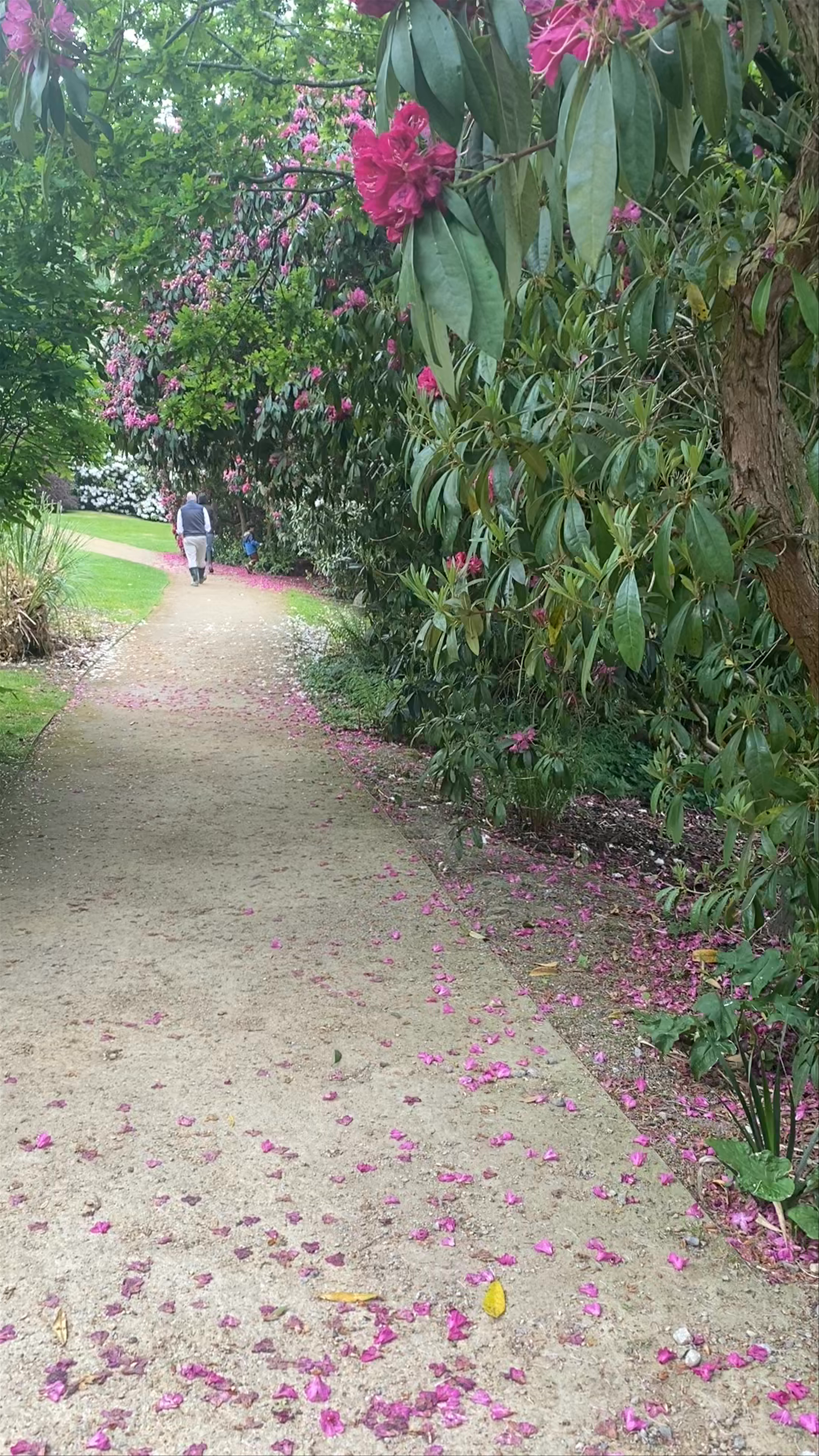 Riverhill Himalayan Gardens