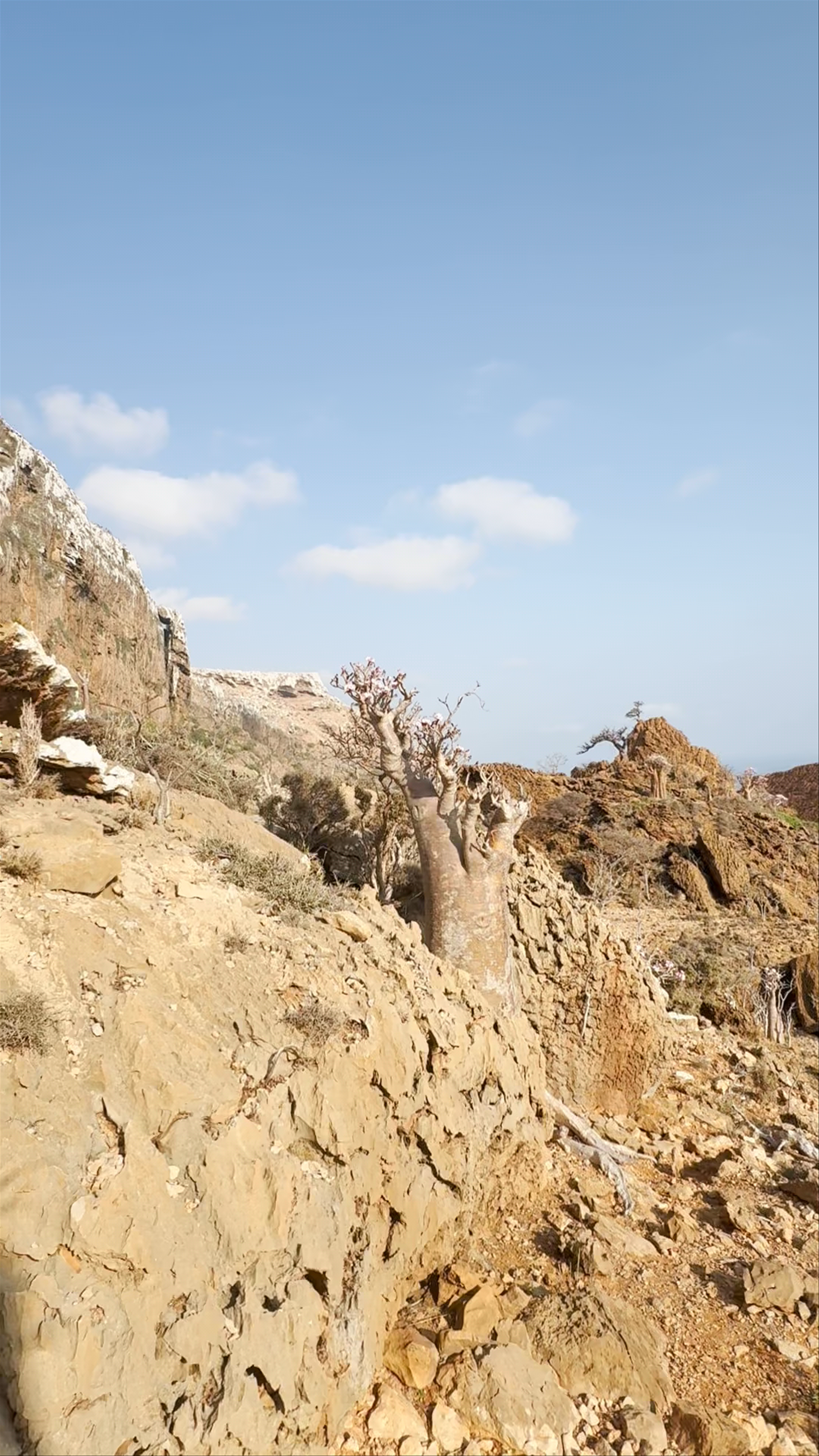 Hoq Cave