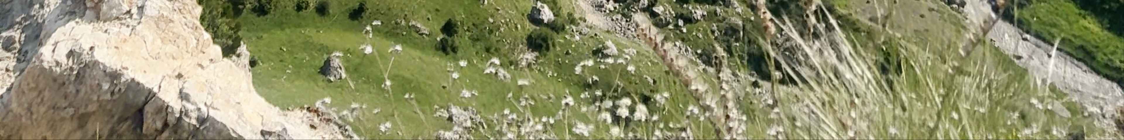Tours & experiences in Qusar