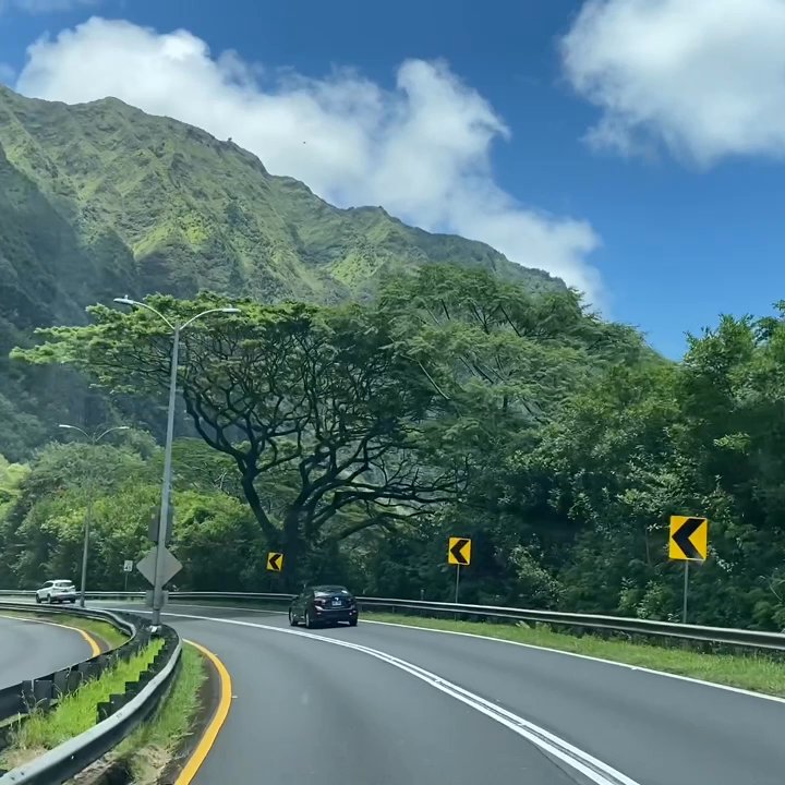 Likelike Highway - 06.01.21 so scenic! (don't mind the wedding party noise) - Landmarks & Historical Buildings Near Me