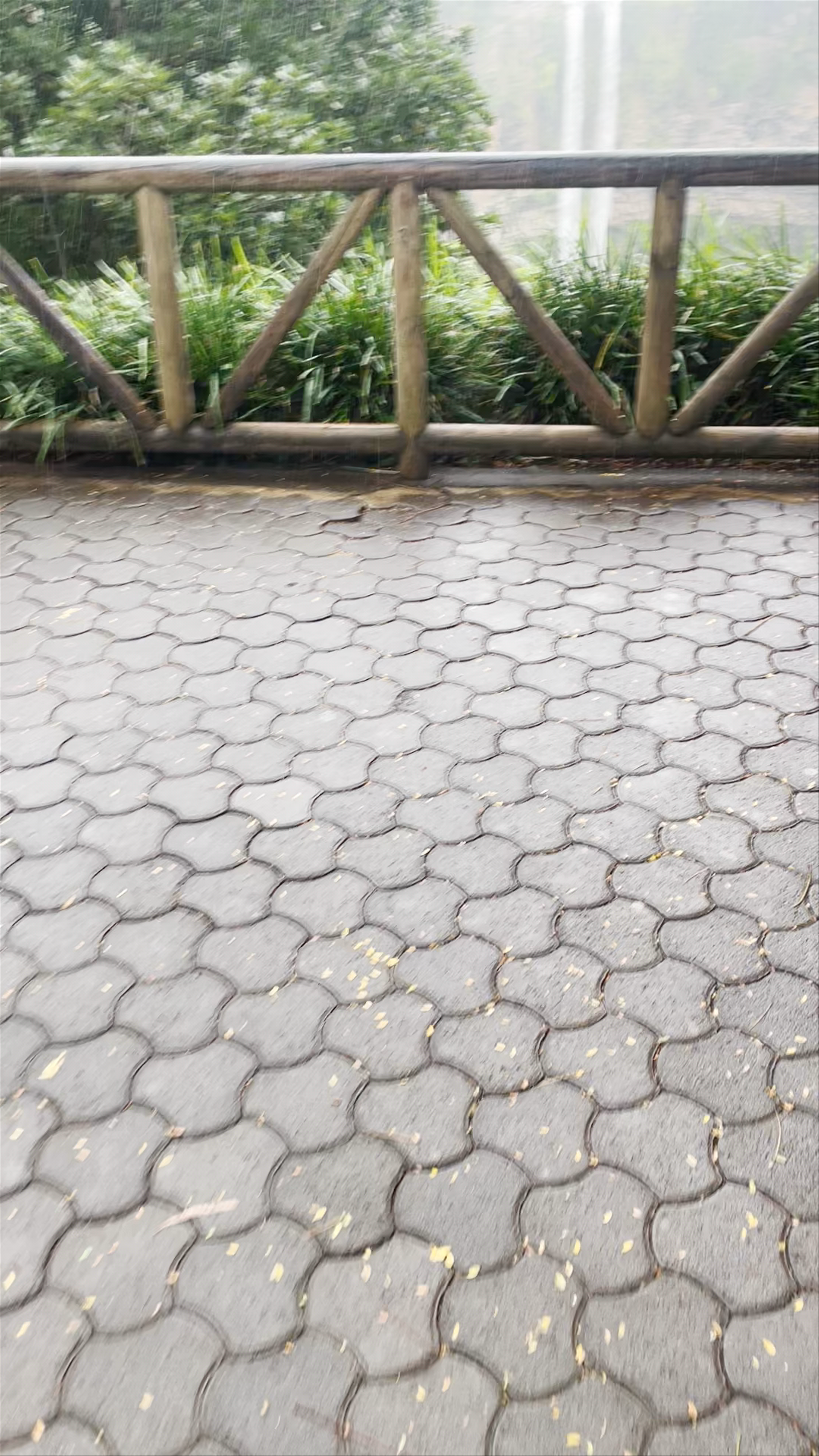 Chamarel Waterfall Viewpoint