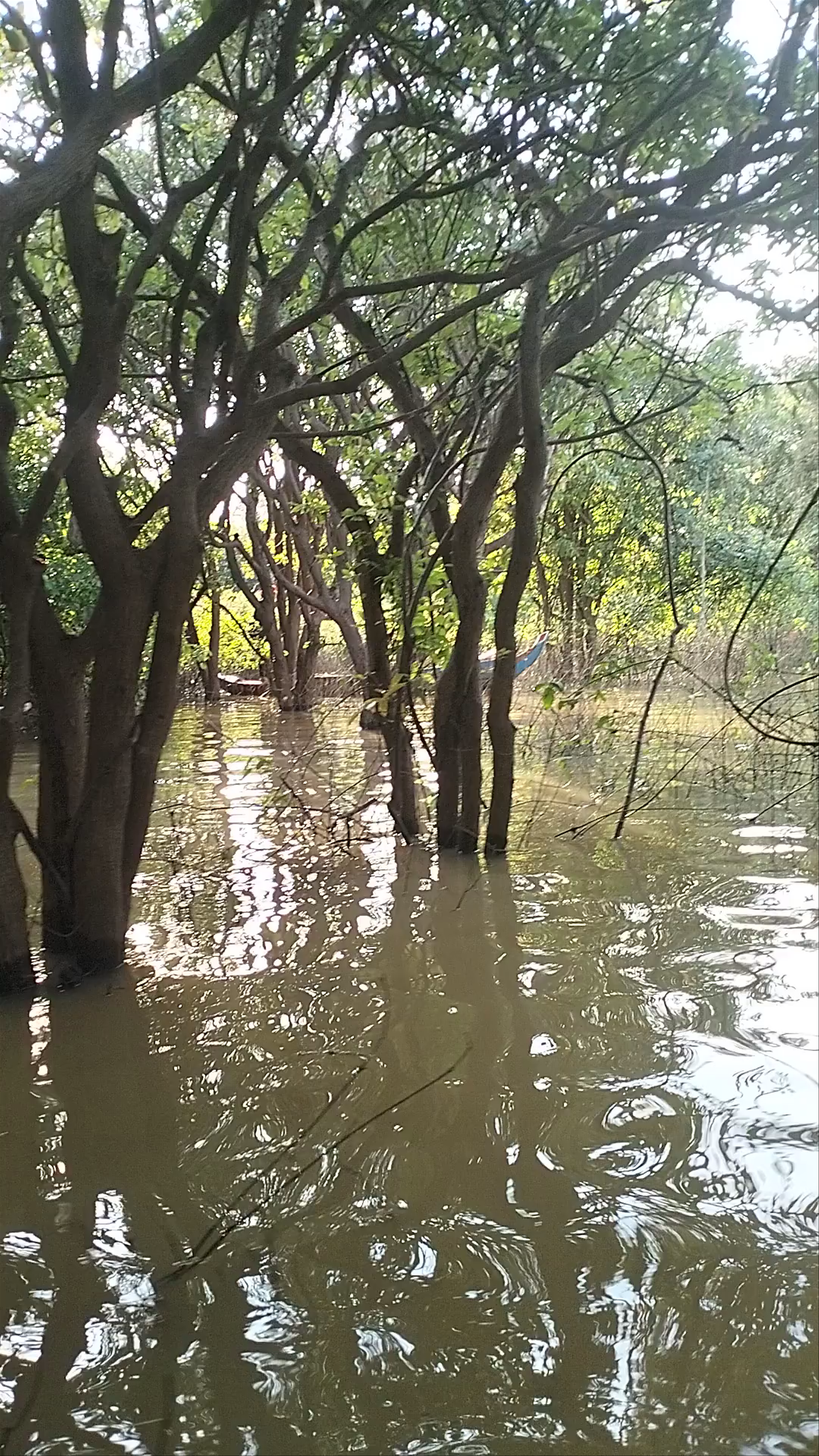 Kampong Pluk Tonle Sap Lake Boat Cruise Ticket Counter