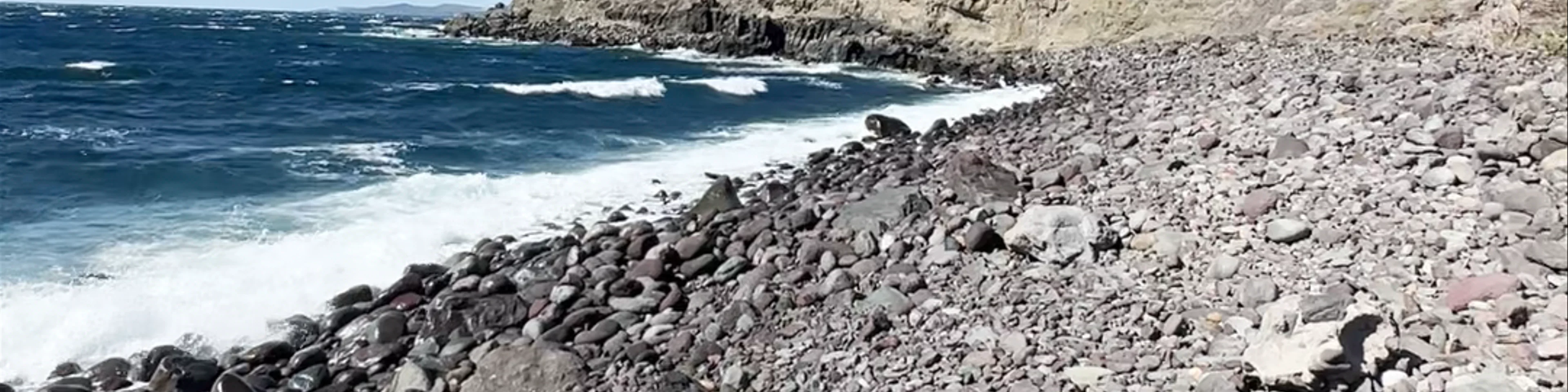 Playa del risco