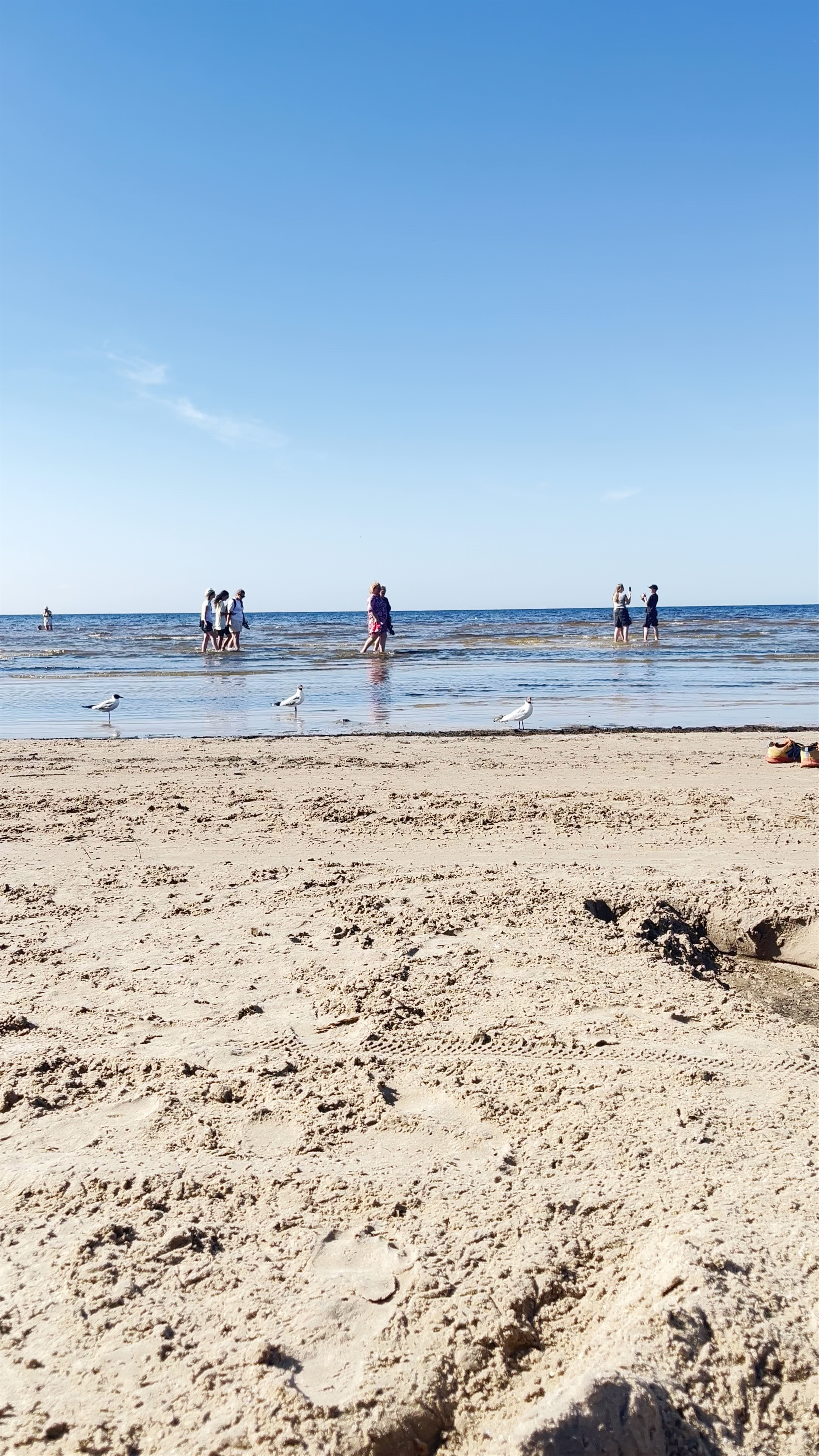 Tranquil Summer Stroll at Jurmala Beach, Riga