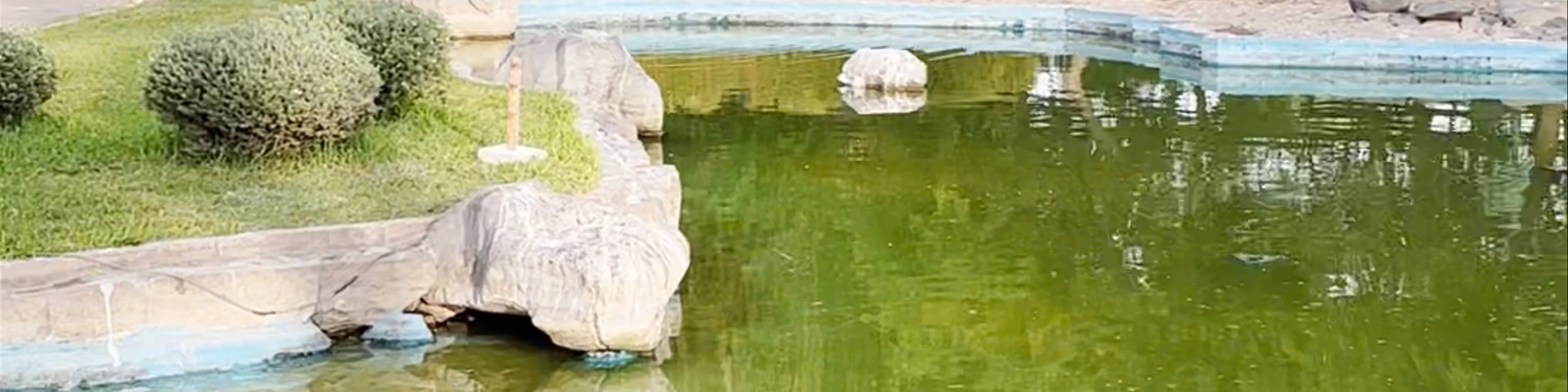 Parque de la Exposición