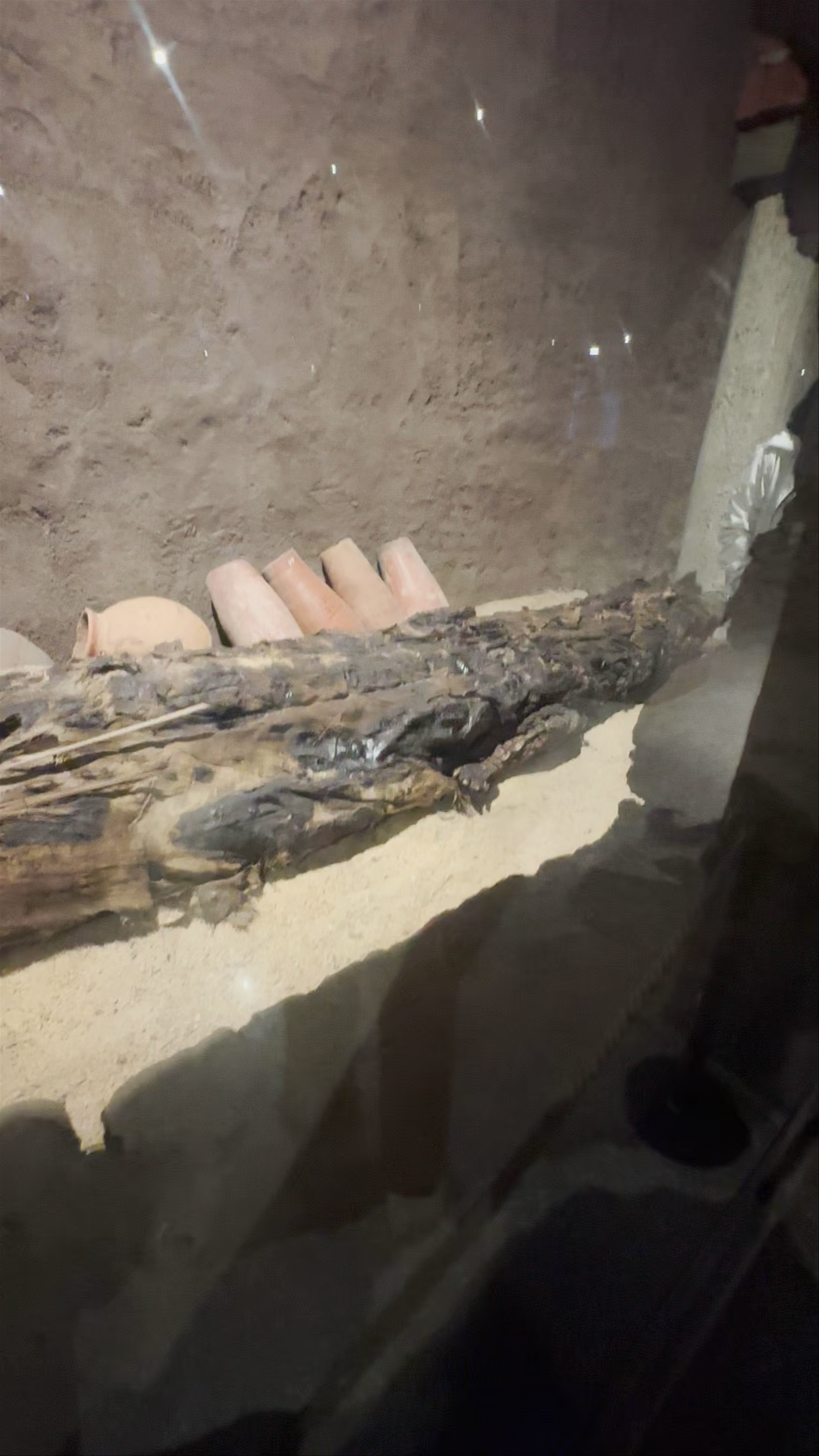 Crocodile Museum: Ancient Egyptian Mummified Crocodile Exhibit in Nagoa Ash Shatb