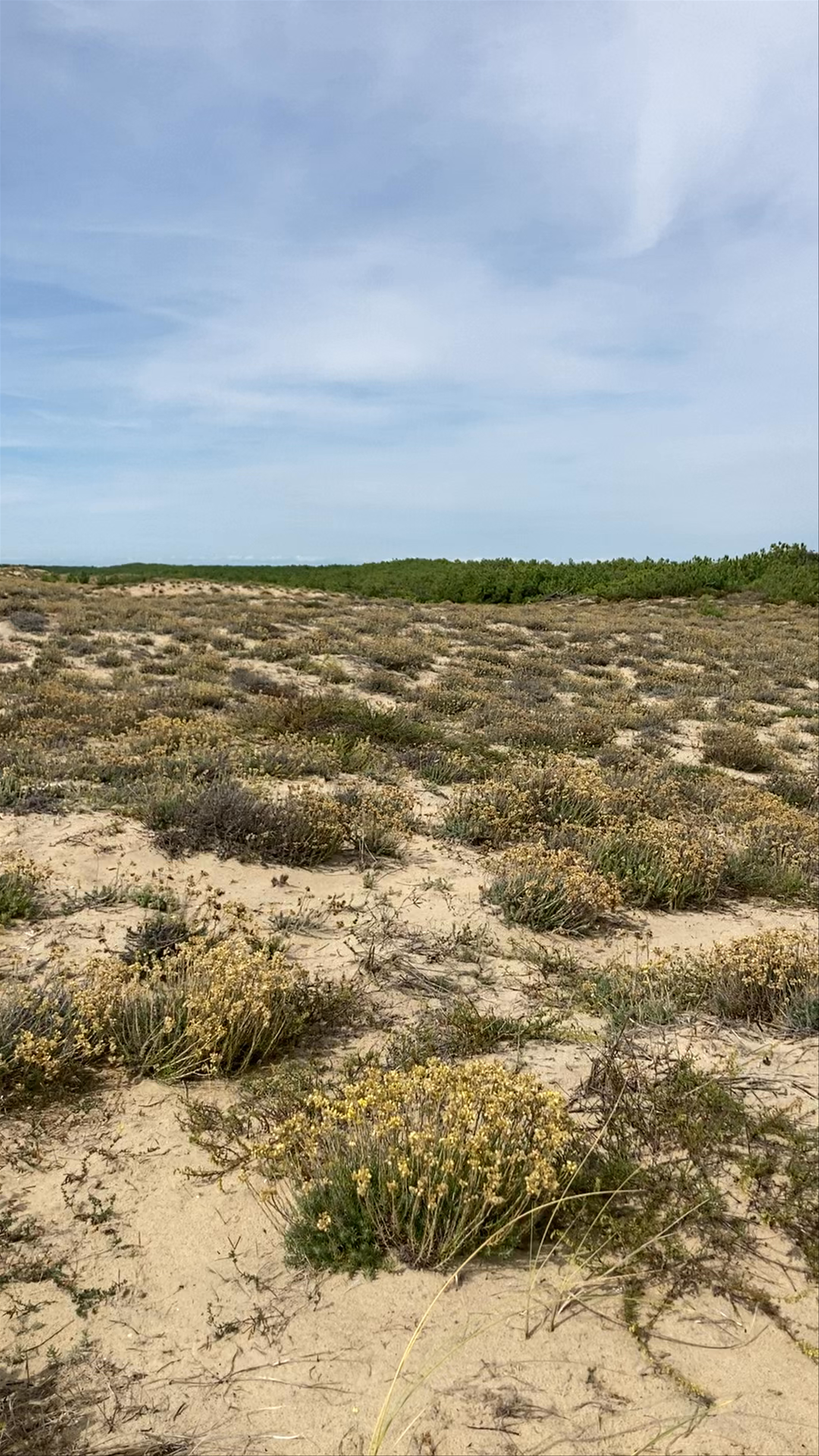 Plage de la Pointe Espagnole
