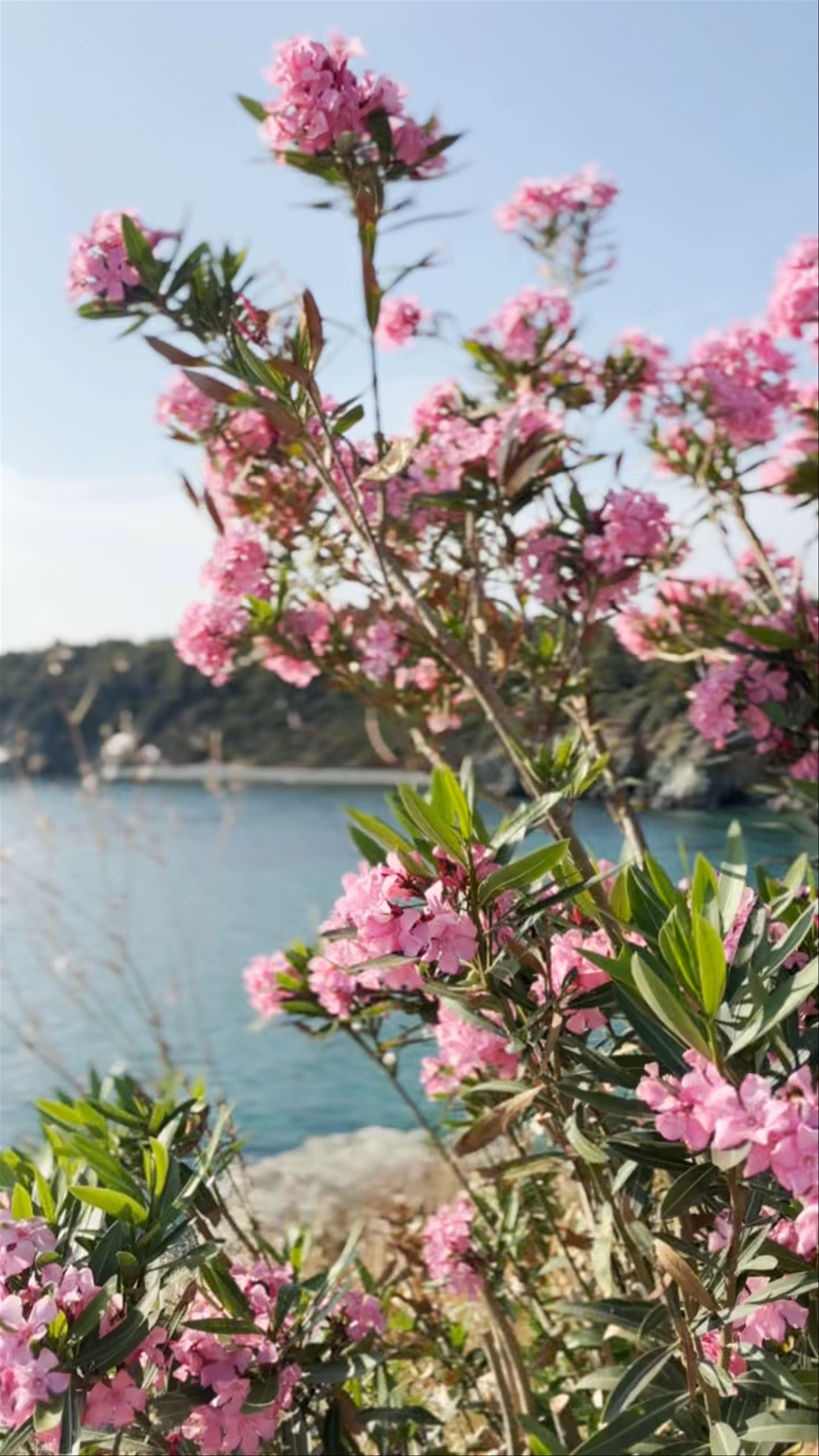Tristinika Beach