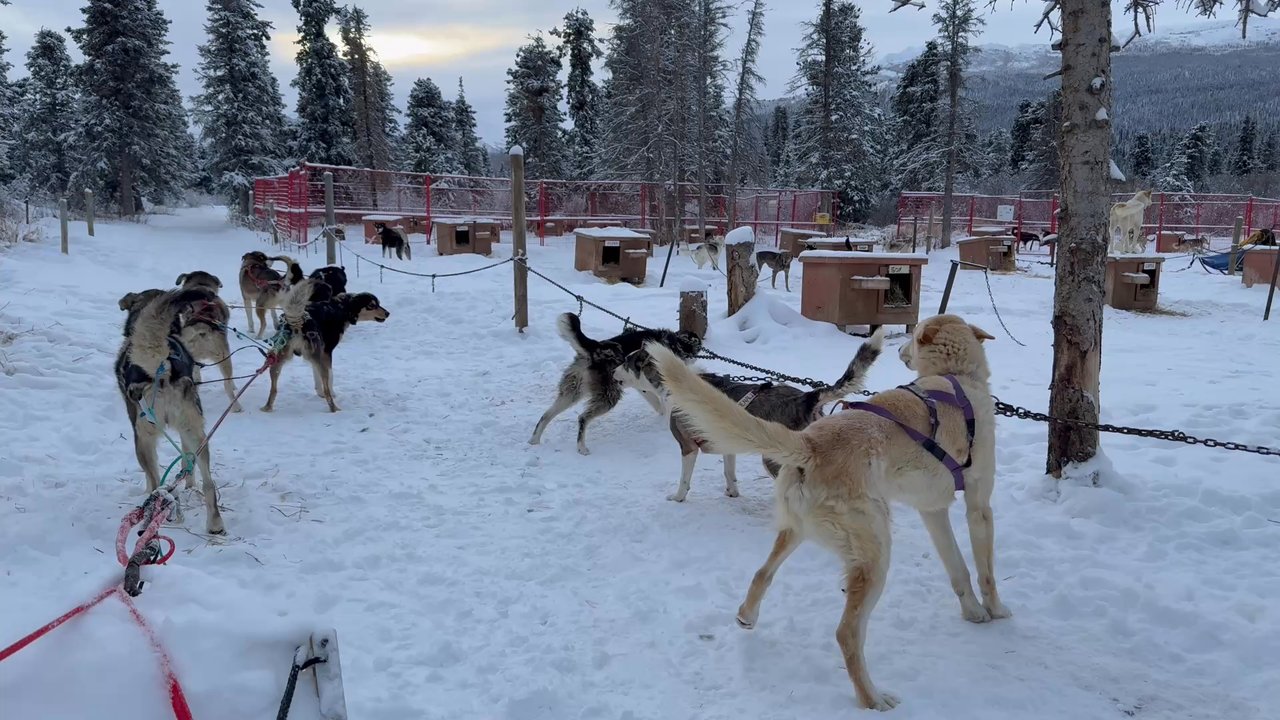 Sky High Wilderness Ranches - Tours Near Me - Whitehorse, Yukon