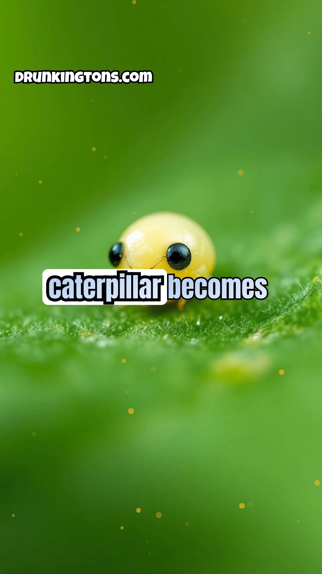 The Amazing World of Metamorphosis: Caterpillars to Butterflies