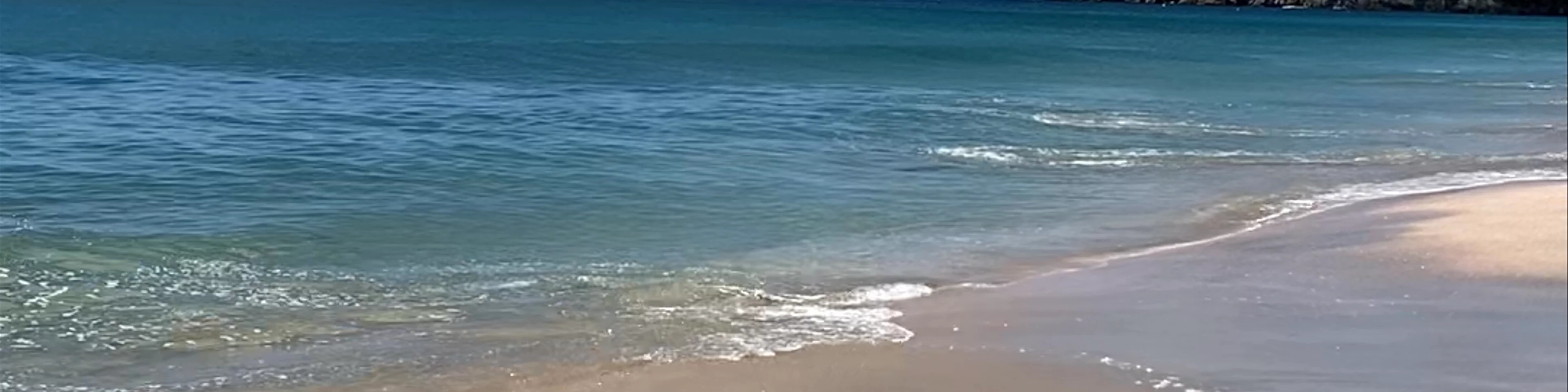 Hahei Beach