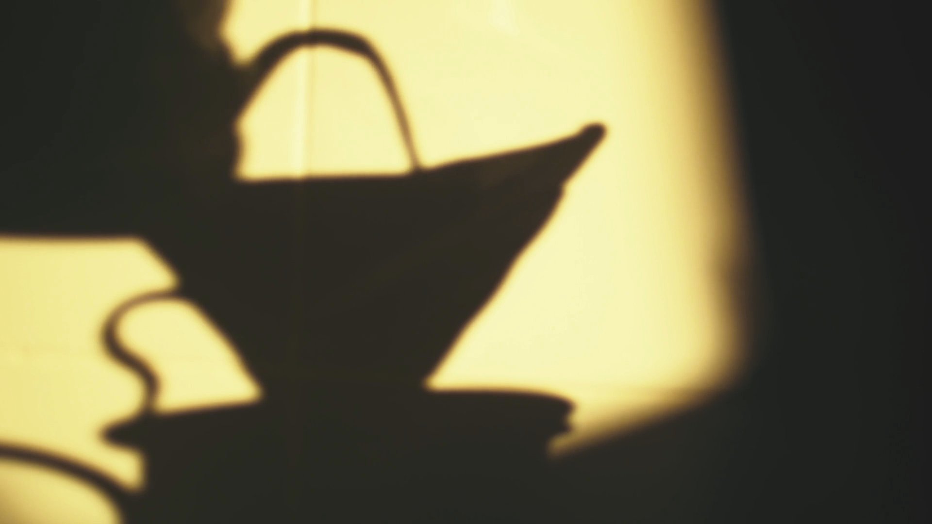 Reel / Café Do Dia