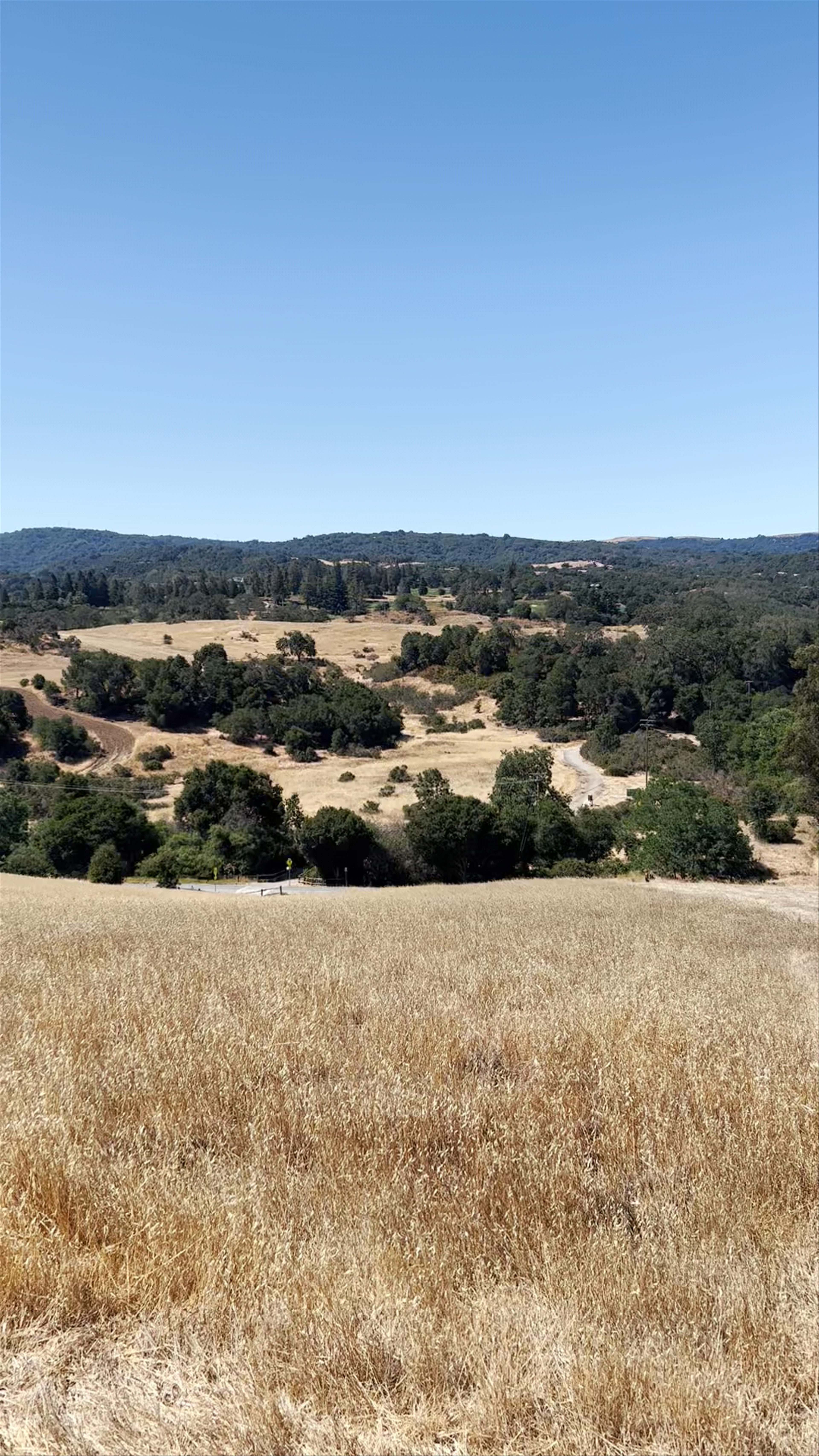 Arastradero Preserve Loop Vista Point