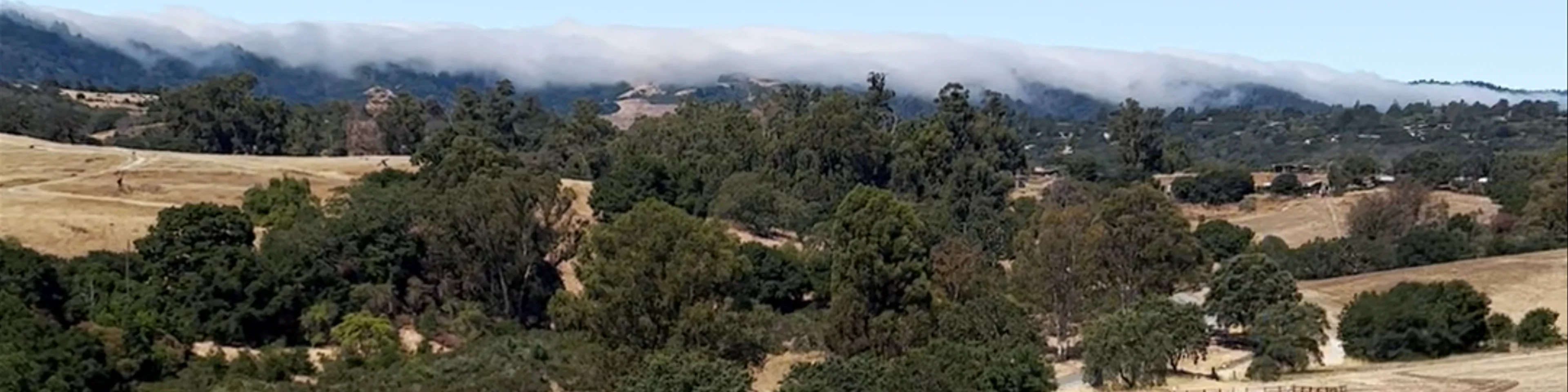 Arastradero Preserve Loop Vista Point