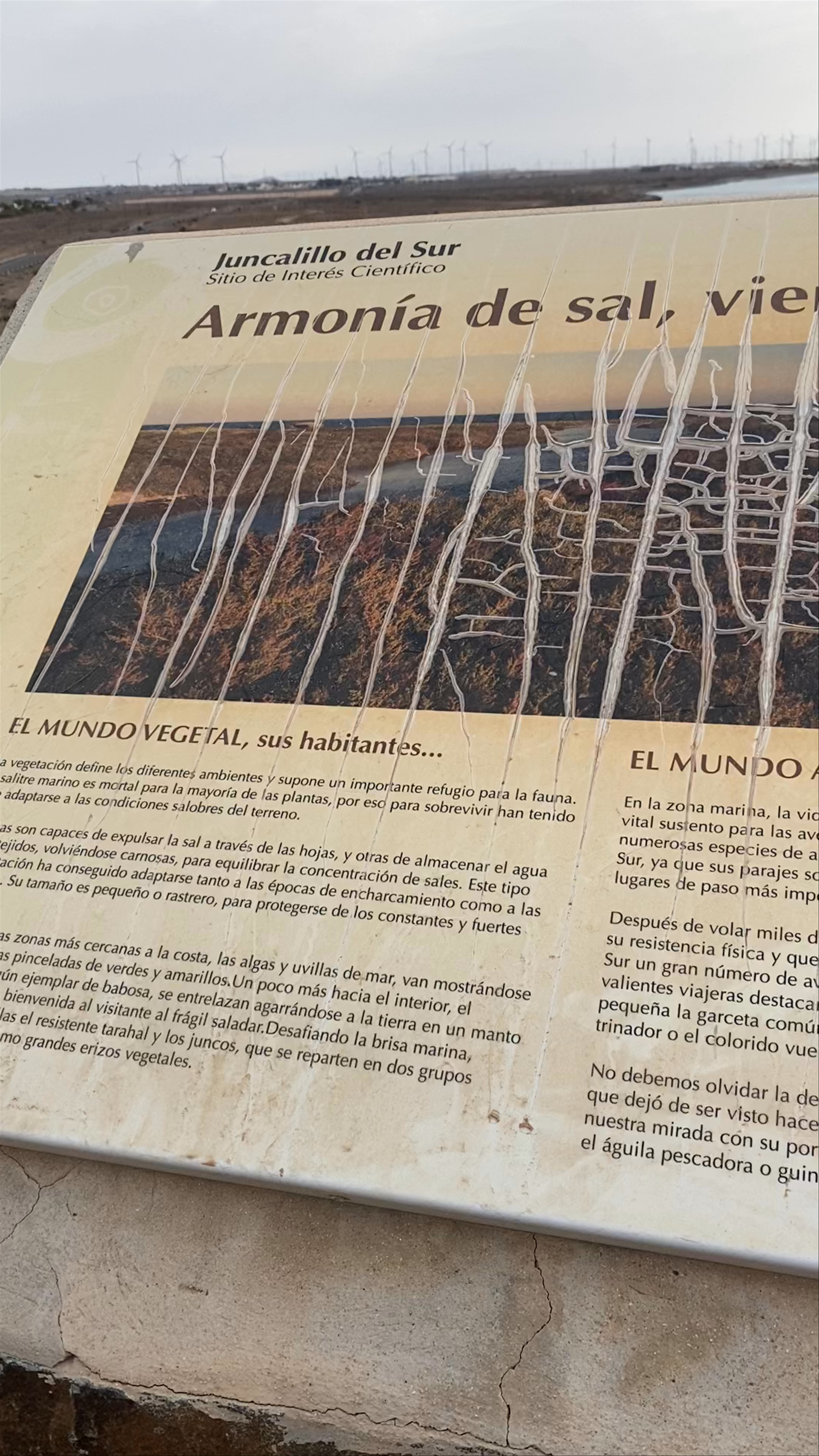Antiguo almacén de sal