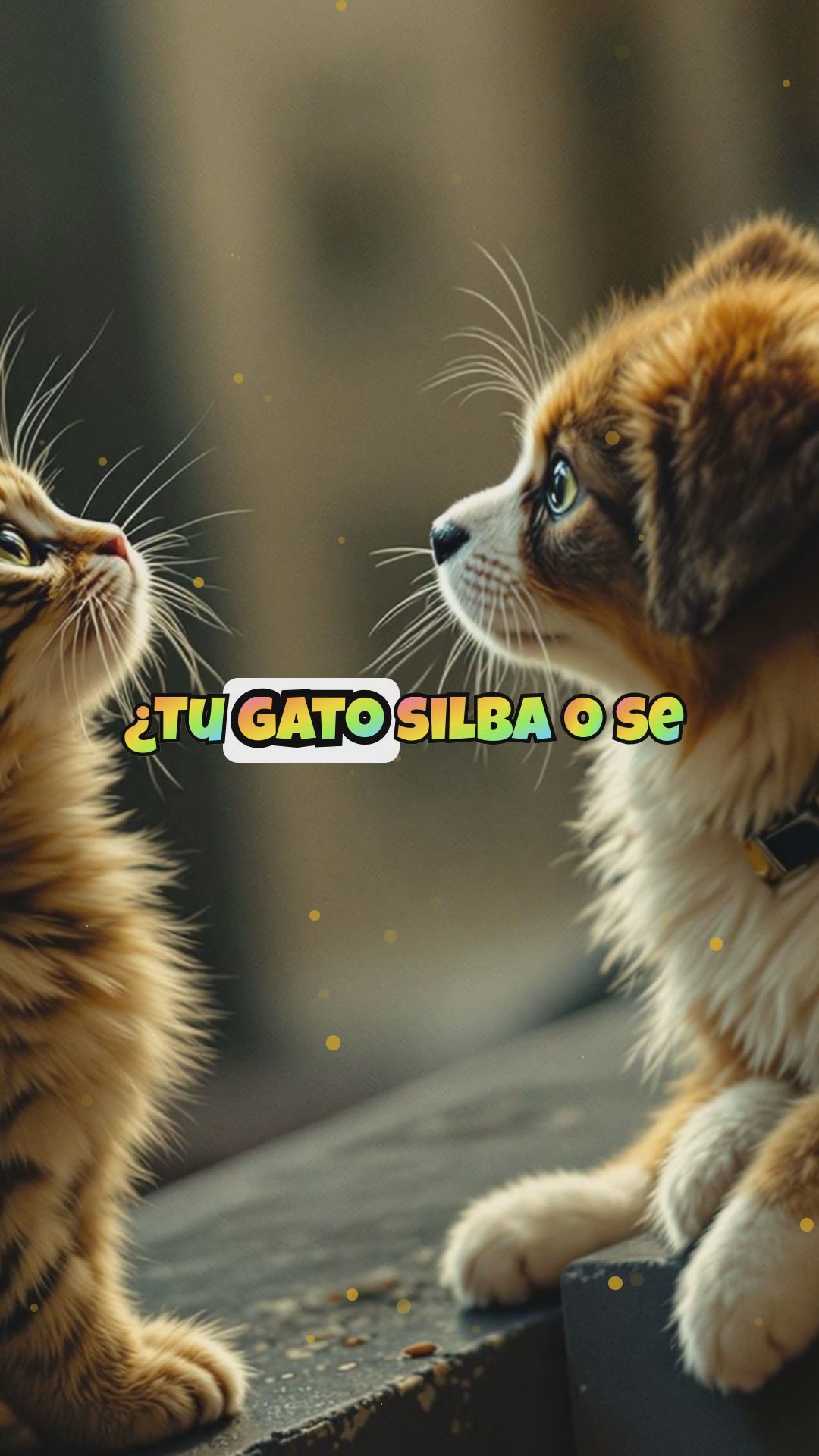 Cómo entrenar a tu gato para aceptar a tu perro con refuerzo positivo