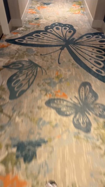 Dollywood's DreamMore Resort - Hallway - Resorts Near Me - Pigeon Forge, Tennessee